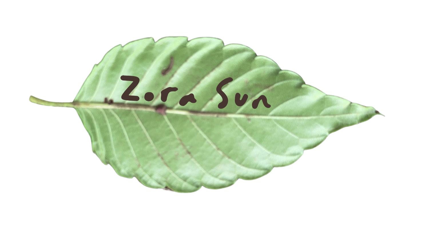 Zorasunarts