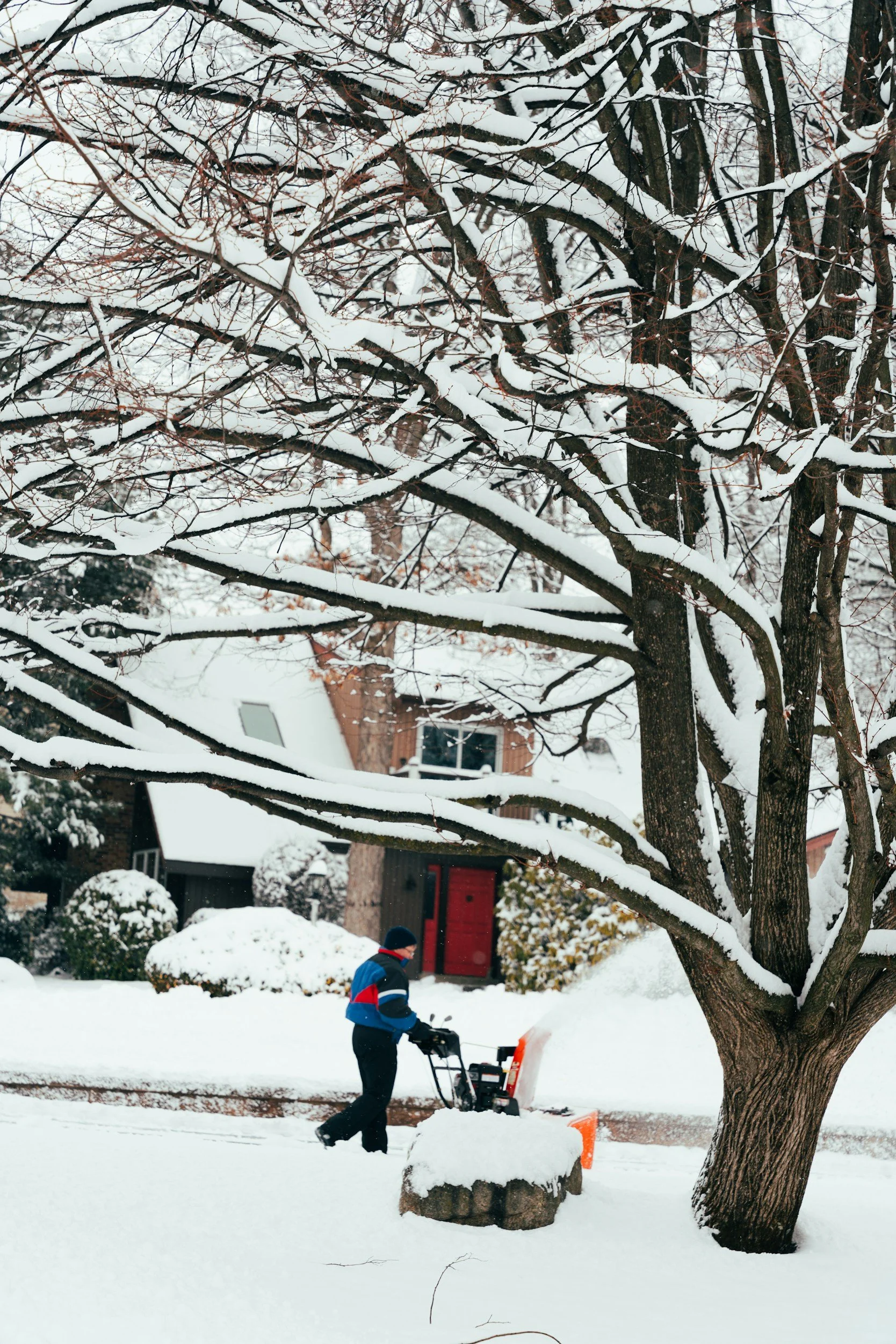 A child dressed in a blue jacket, black pants, and gloves is using a snow blower to clear snow from the sidewalk. Snow is piled on the ground and on the branches of a large, leafless tree. In the background, houses and bushes are also covered in snow, with a partially visible person near the house.