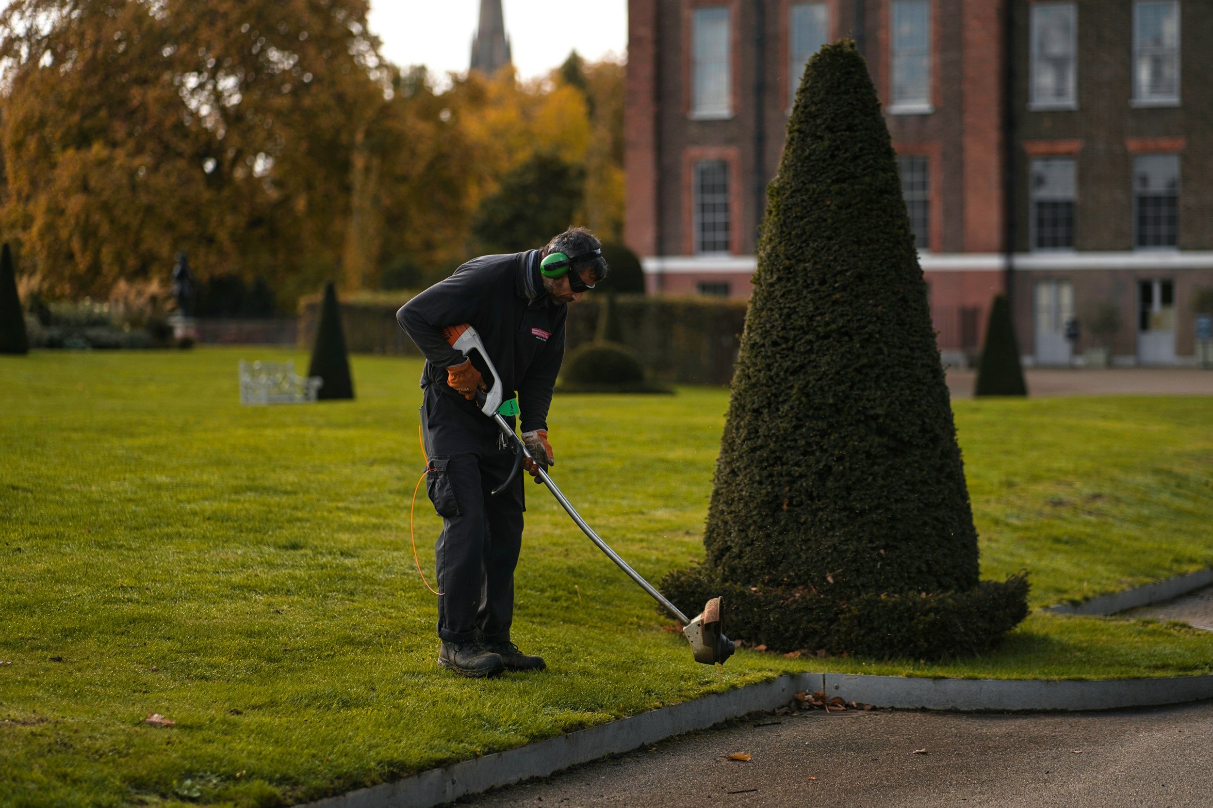 A man trimming a bush with electric gardening tools in a park or garden area, wearing safety headphones and gloves.