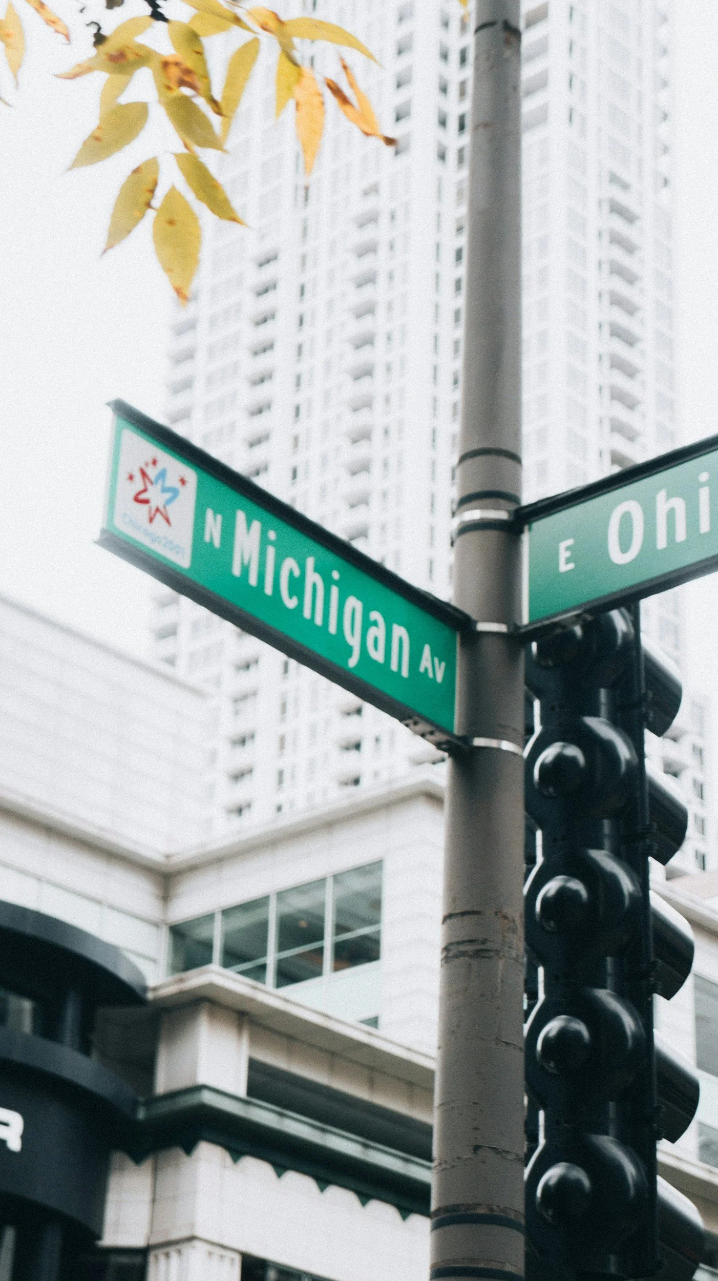 Street corner sign showing N Michigan Ave and E Ohio St in Chicago with tall buildings in the background.