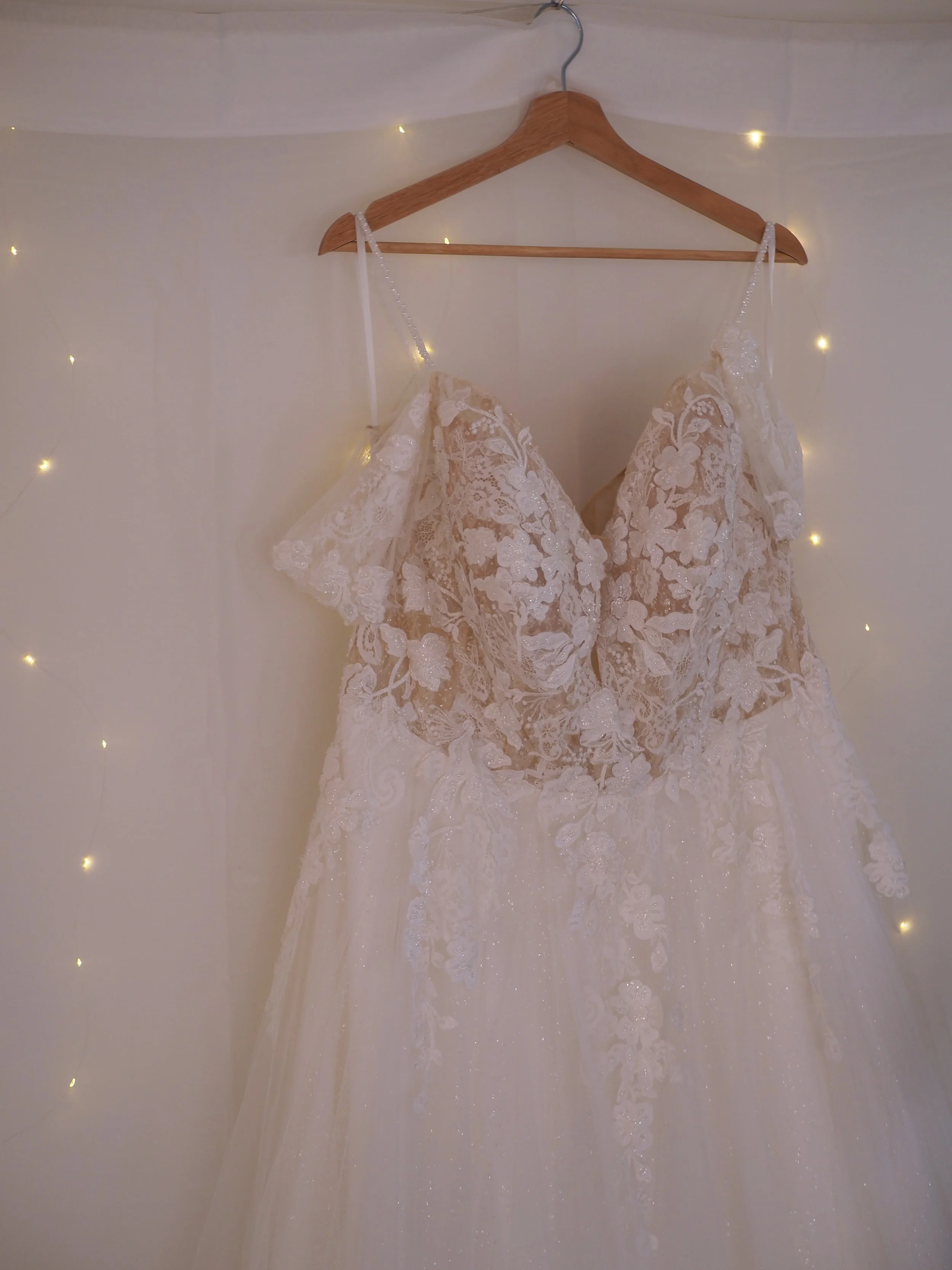 The JC Kelly Gown | Size 20 | $350