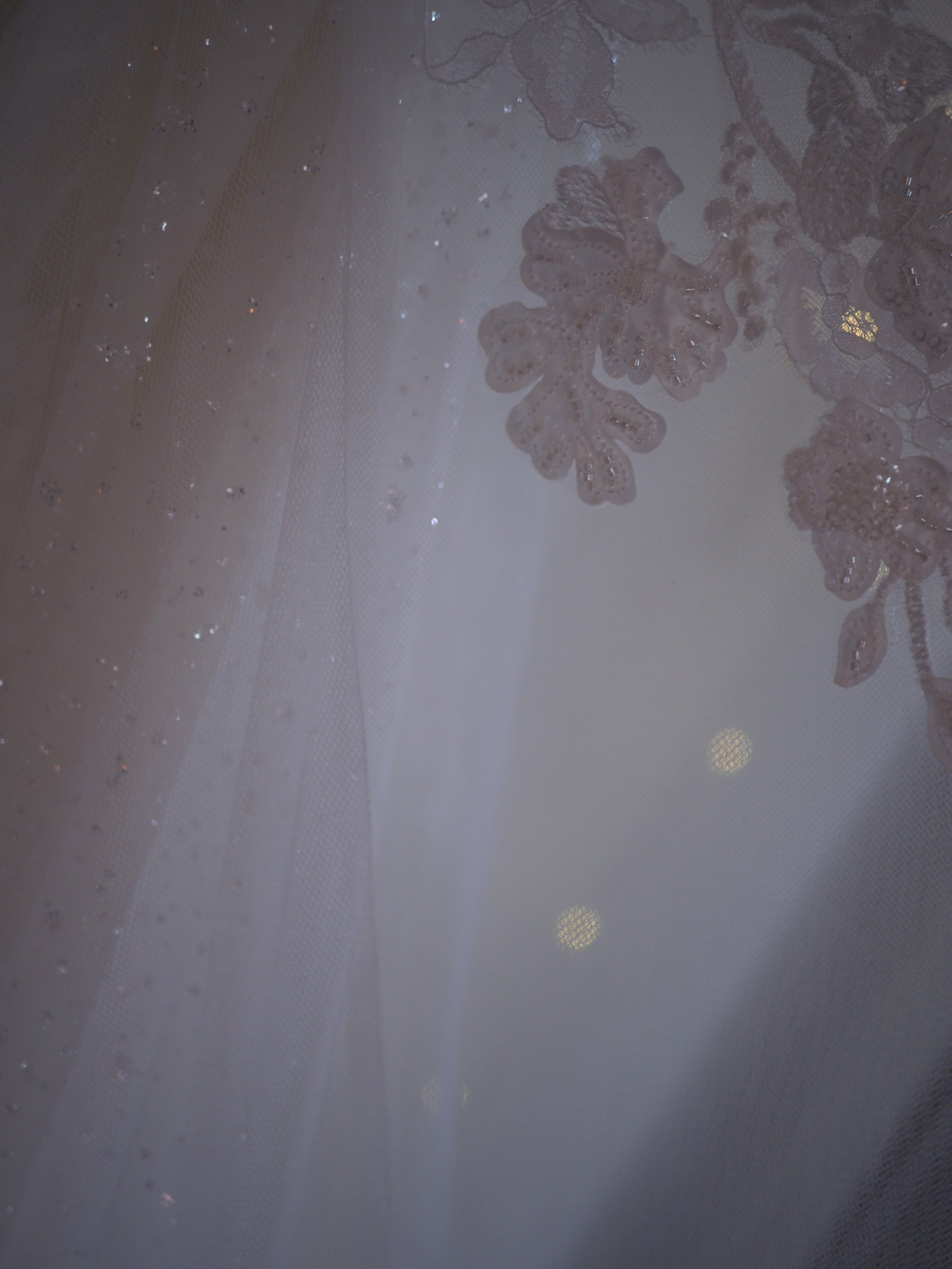 P8236760.jpg