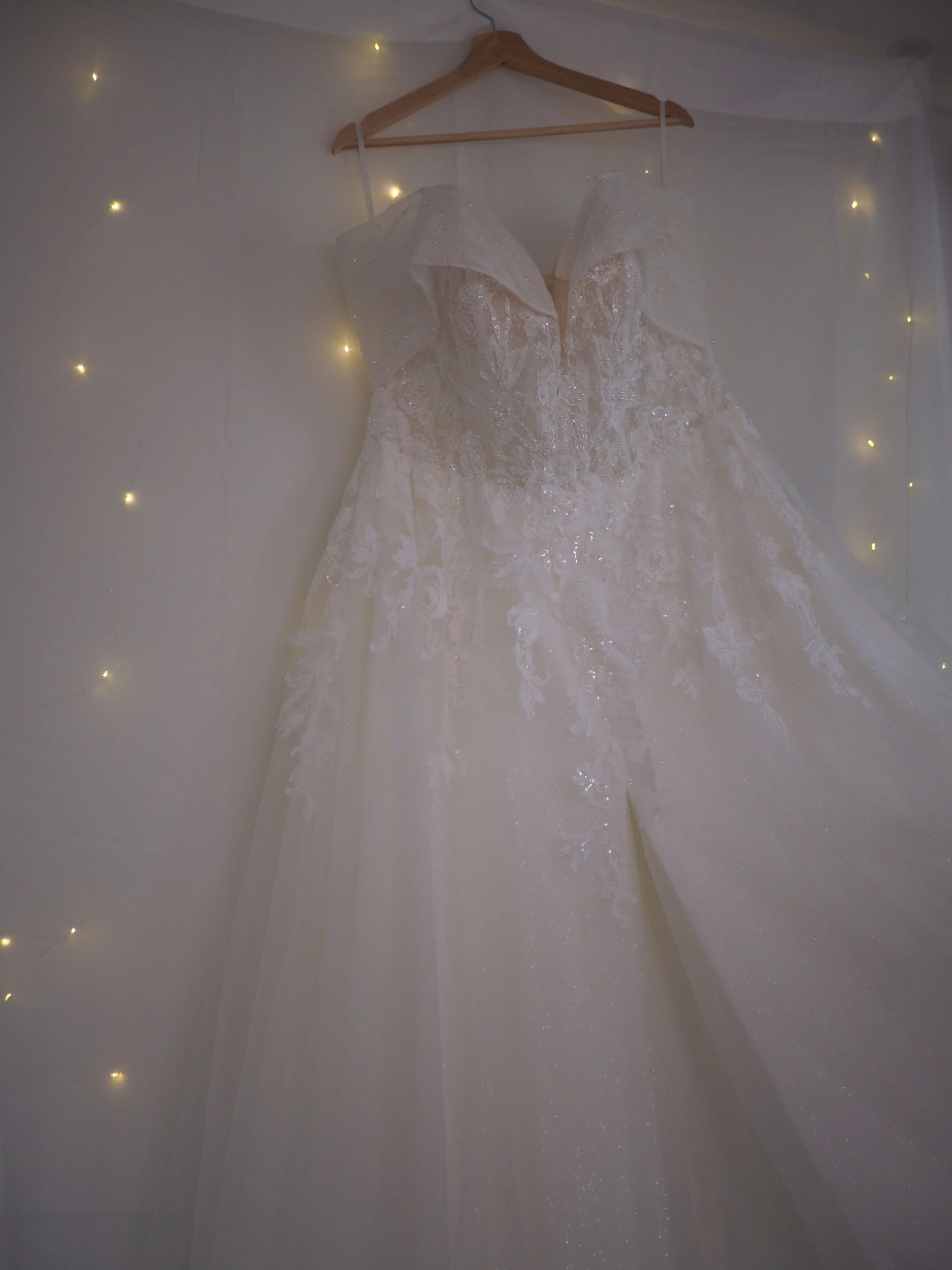The JC Tracy Gown | Size 20 | $350