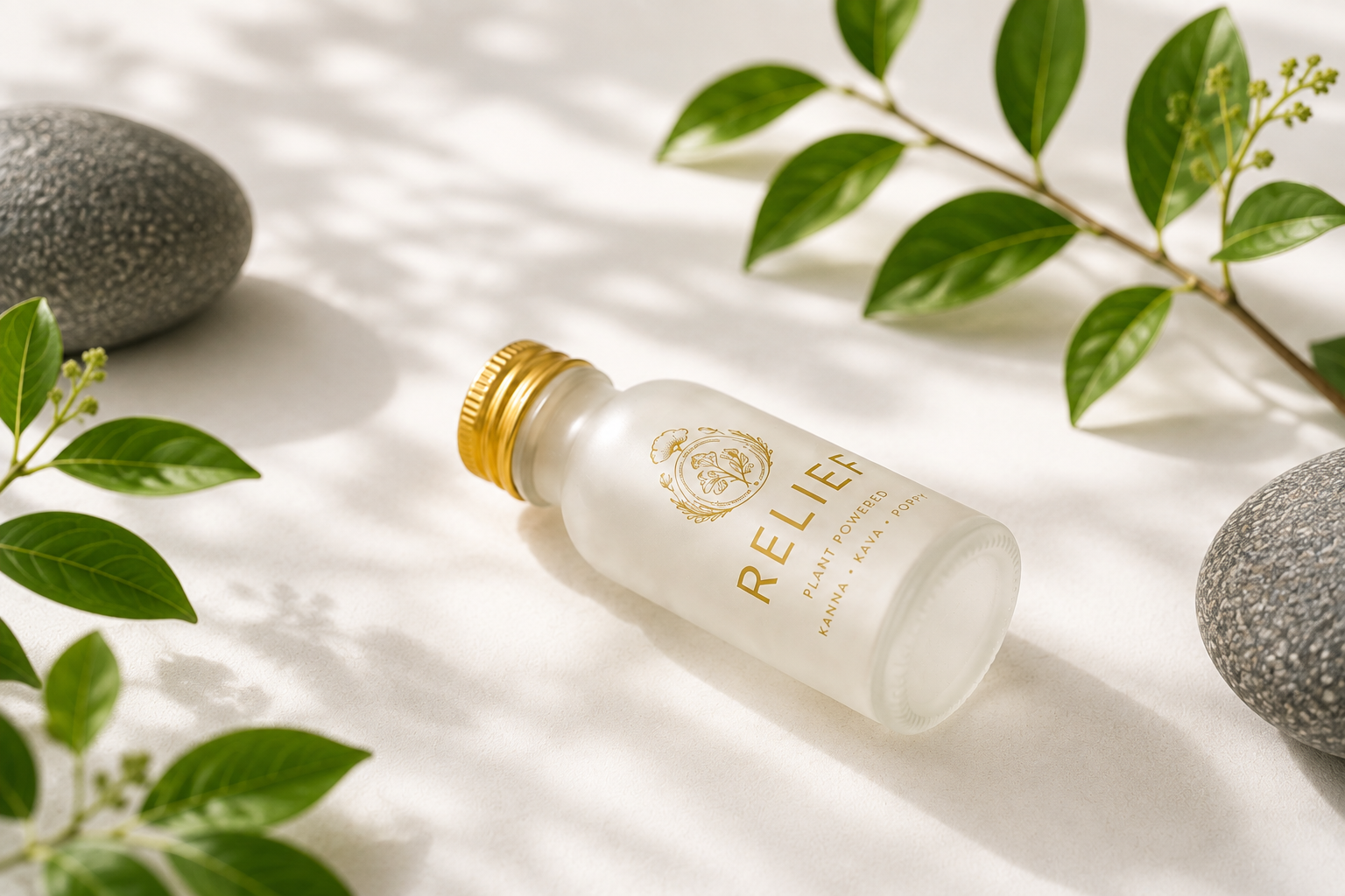 Frosted glass Relief botanical tonic bottle with a gold cap, featuring Kava, Kanna, and California Poppy, surrounded by green botanical leaves and natural gray stones on a clean white surface.