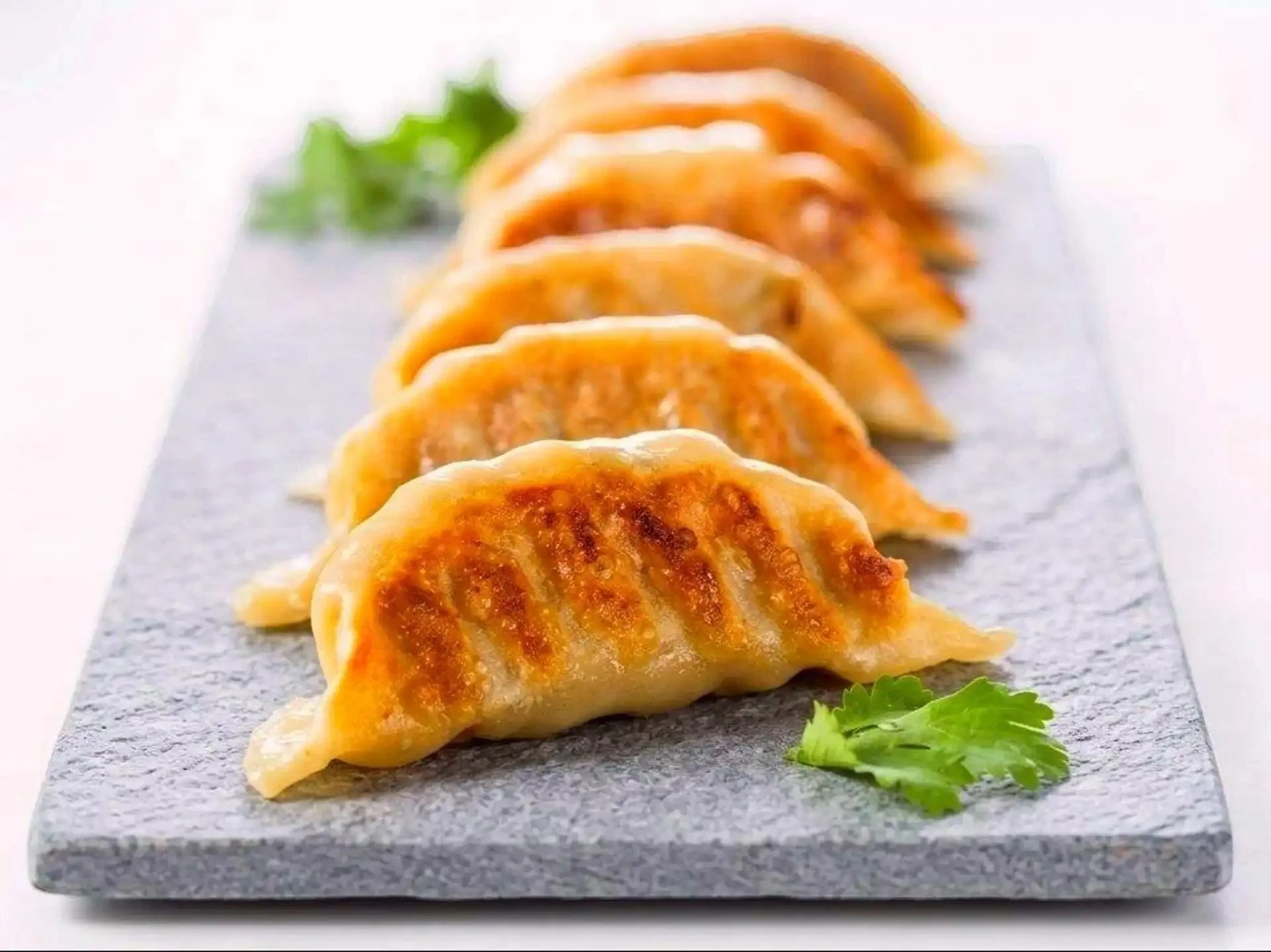 A row of six pan-fried gyoza dumplings on a rectangular gray stone plate, garnished with a sprig of fresh green cilantro leaves.