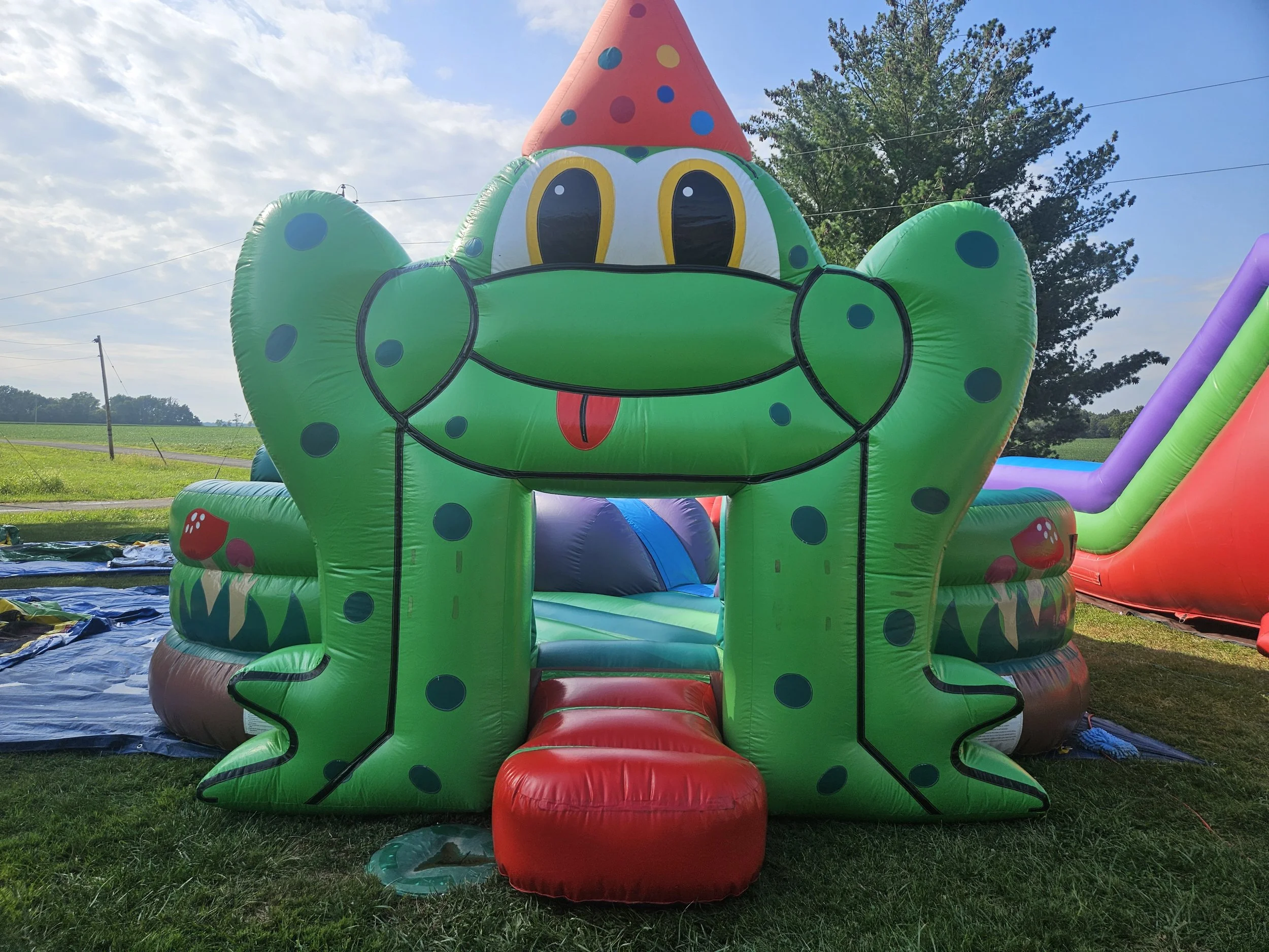 Frog Bouncer/Playground (Ages 1-6) | $225