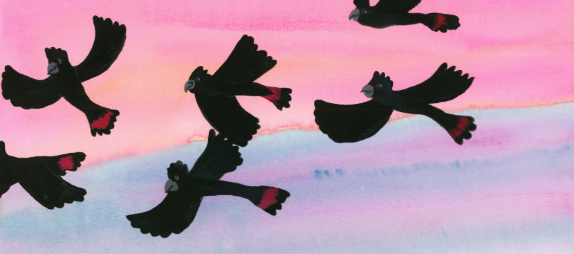 Screenshot 2026-08-04 6.06.27 AM.png
