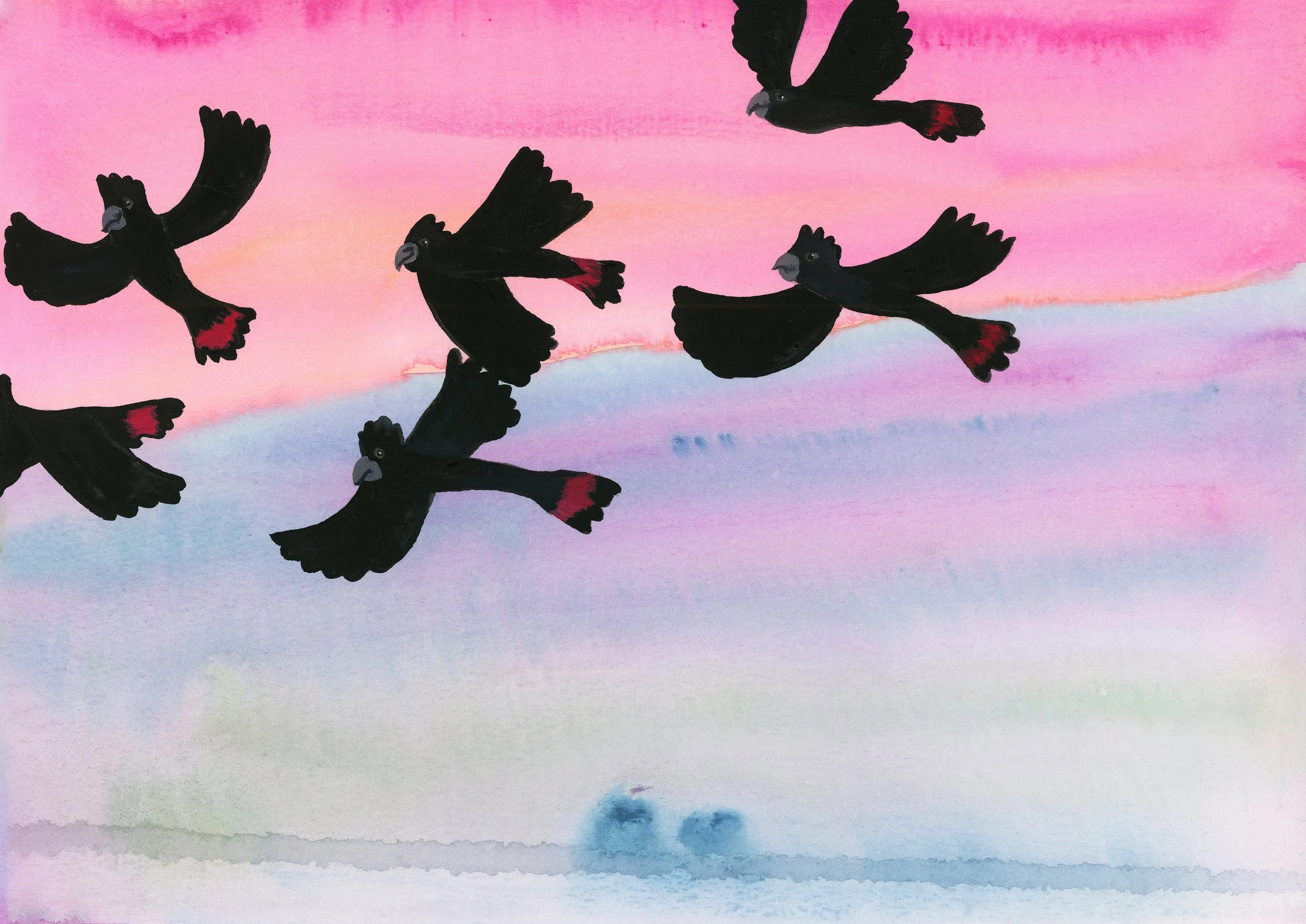 Black cockatoos on dusk