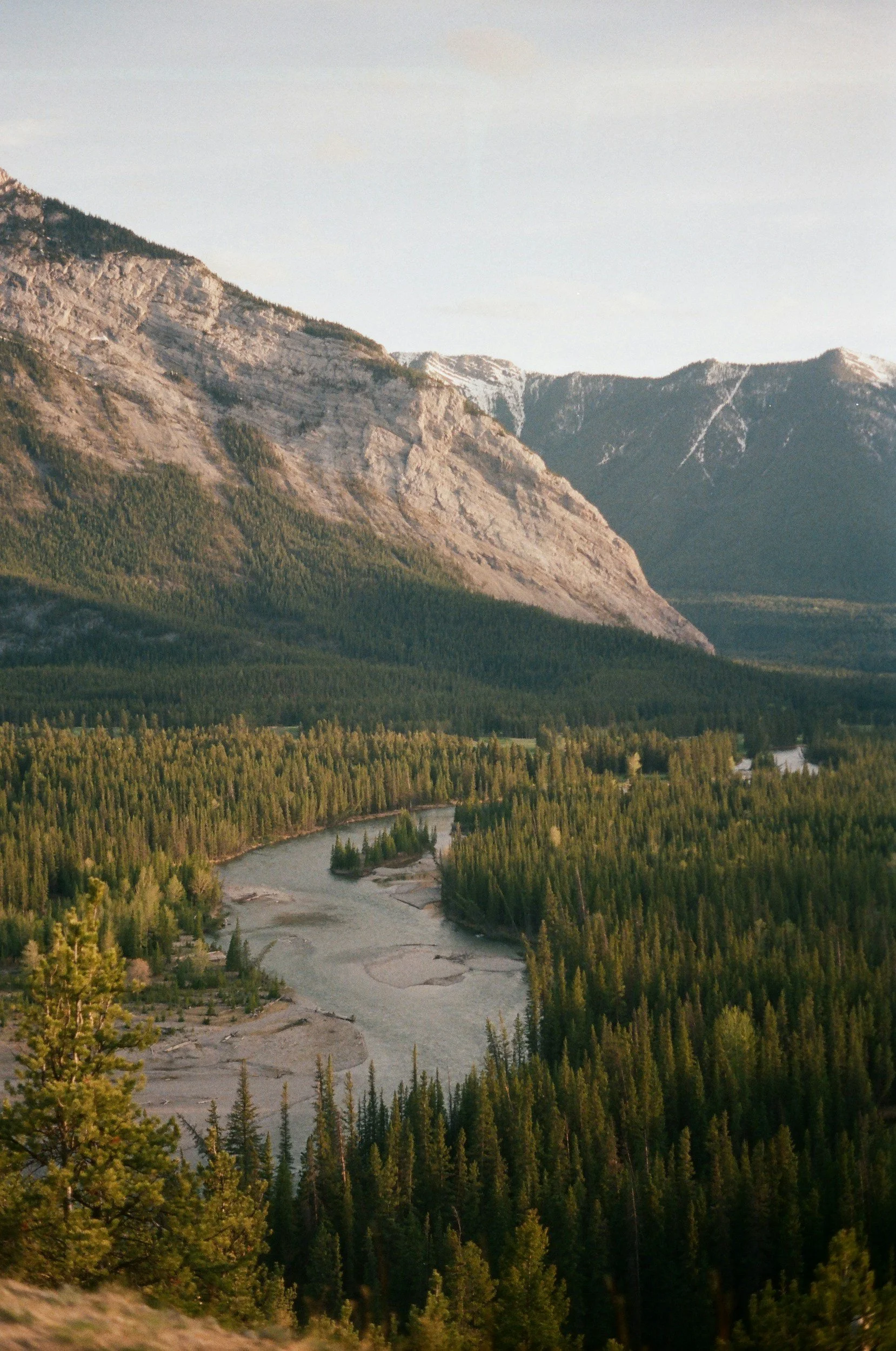 A river winding through a dense forest with tall trees, with mountains in the background, some of which have snow on their peaks.