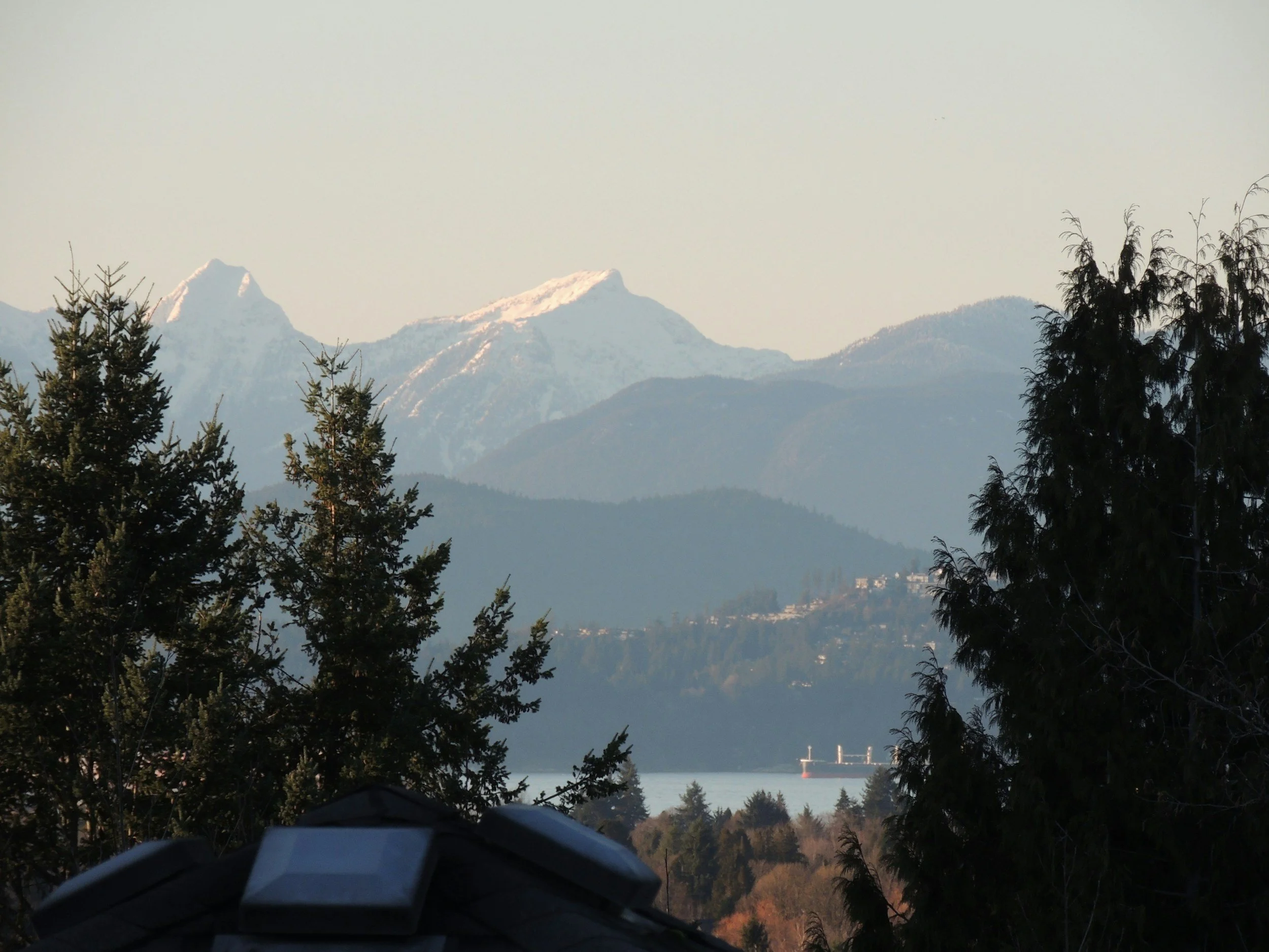 Scenic view of snow-capped mountains with evergreen trees in the foreground and a large ship on the water in the distance, under a clear sky.