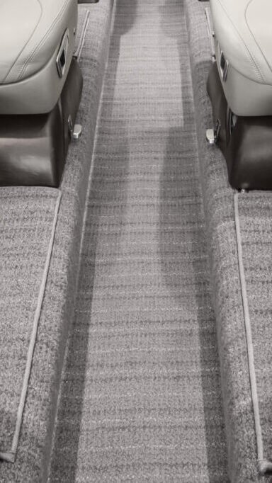 Carpet Shampoo & Stain Removal Services