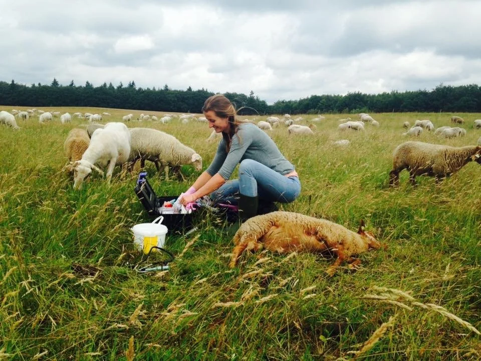 Surgeries in the Field