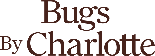 Bugs by Charlotte