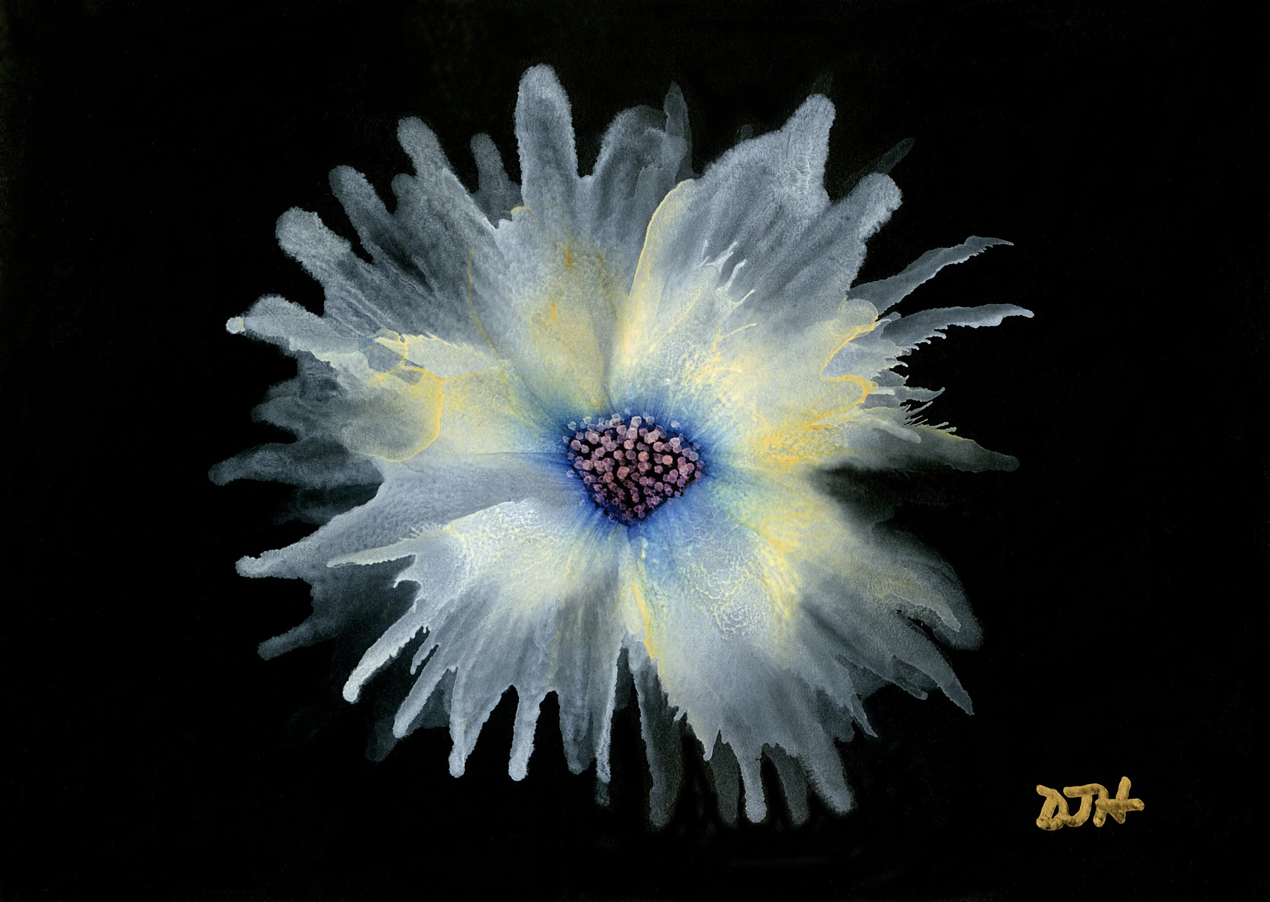 WD004_FirstLight.jpg