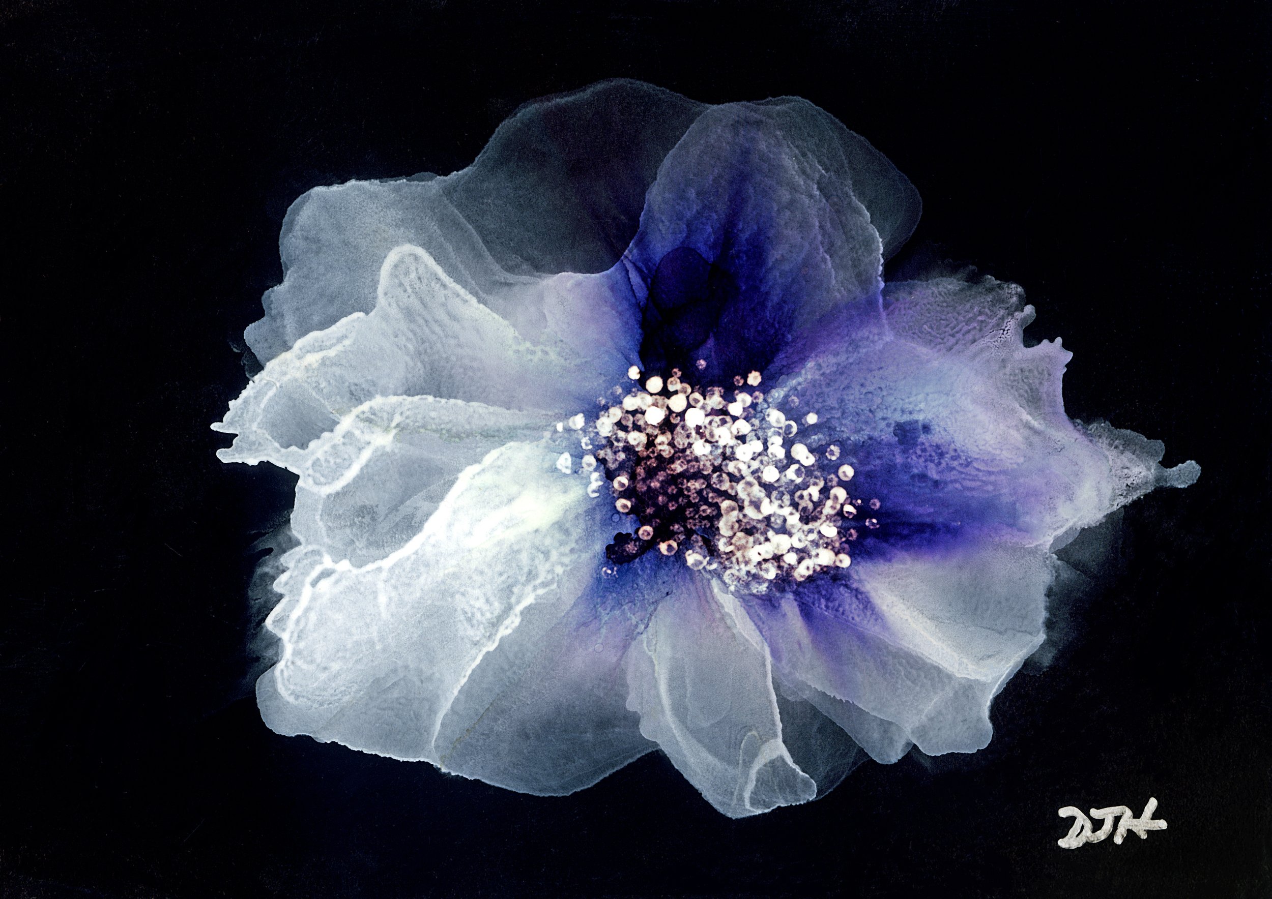 A close-up of a delicate, translucent white flower with subtle blue and purple hues, set against a dark background. The flower's petals are soft and flowing, with tiny white particles or pollen in the center. The artist's signature is visible in the bottom right corner.