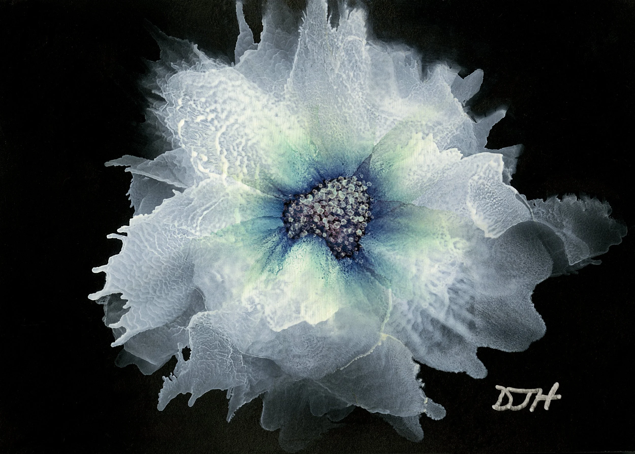 WD010_EchoingHope.jpg