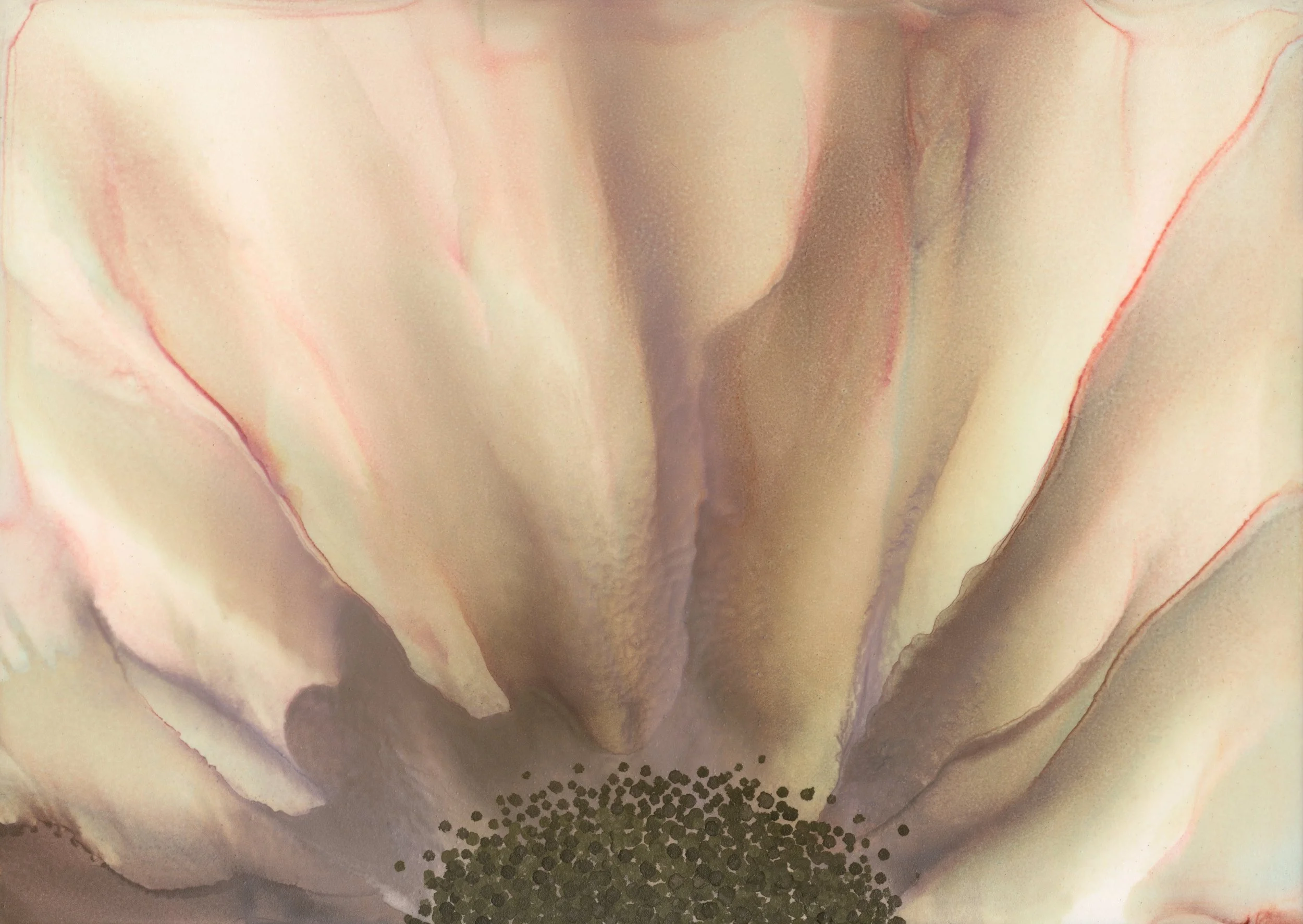 WD003_QuietBloom.jpg