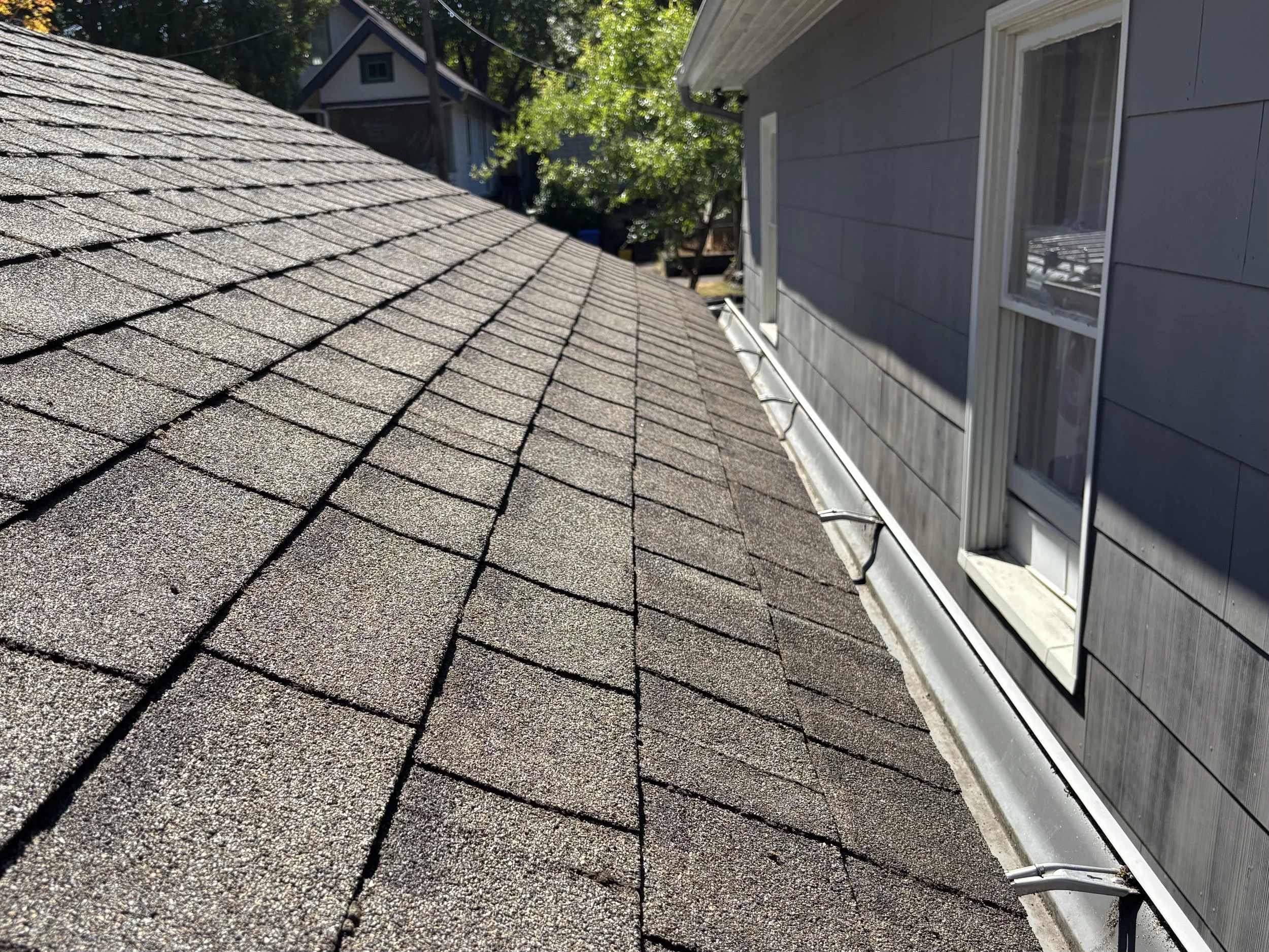 View of a gravel-textured roof with shingles, next to a gray house with white trim and a double-pane window, and a backyard with trees in the background.