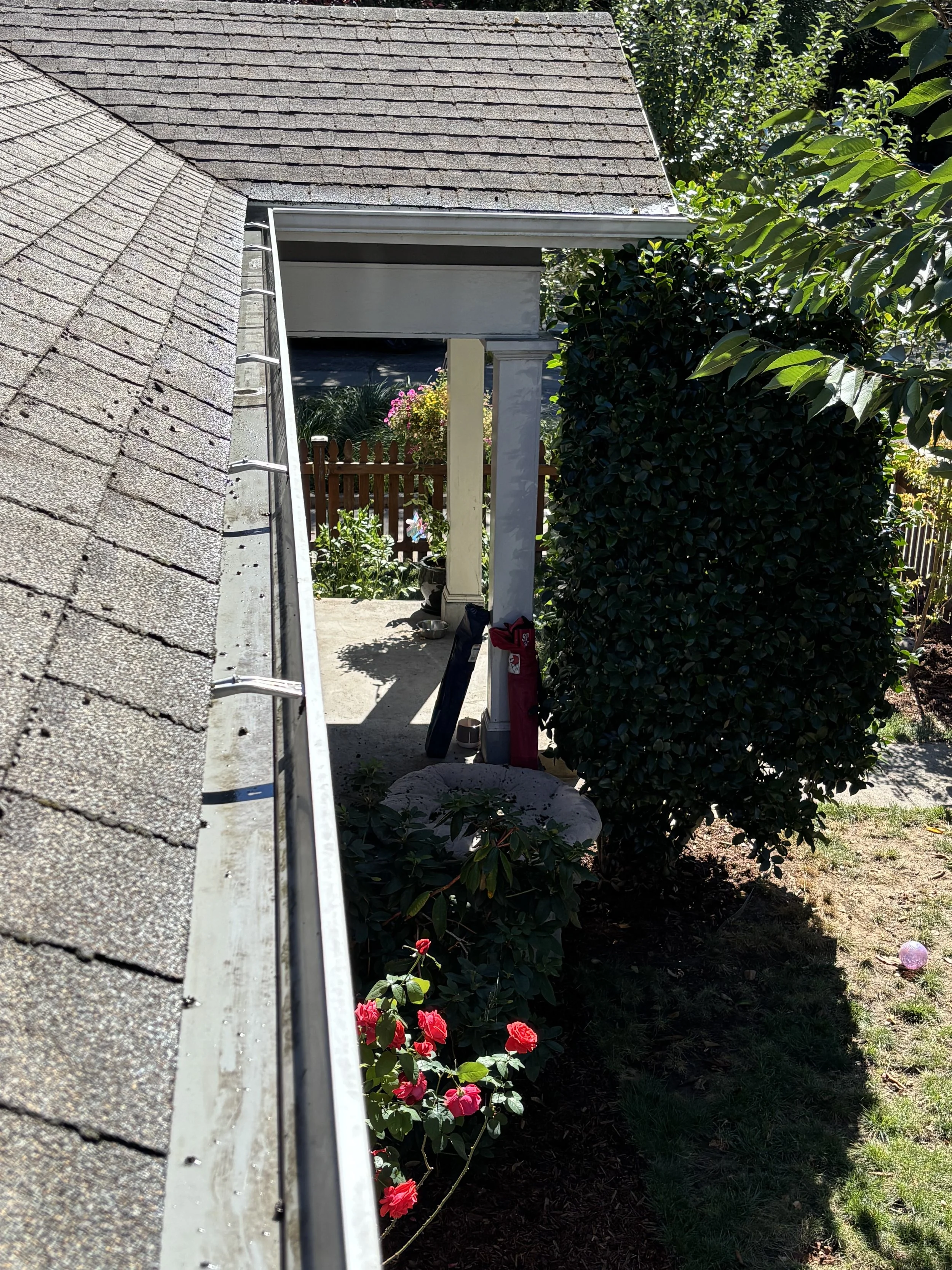 View of a house roof with shingles, a gutter, a gutter guard, and a lush garden with various plants and flowers, including pink and red blossoms.