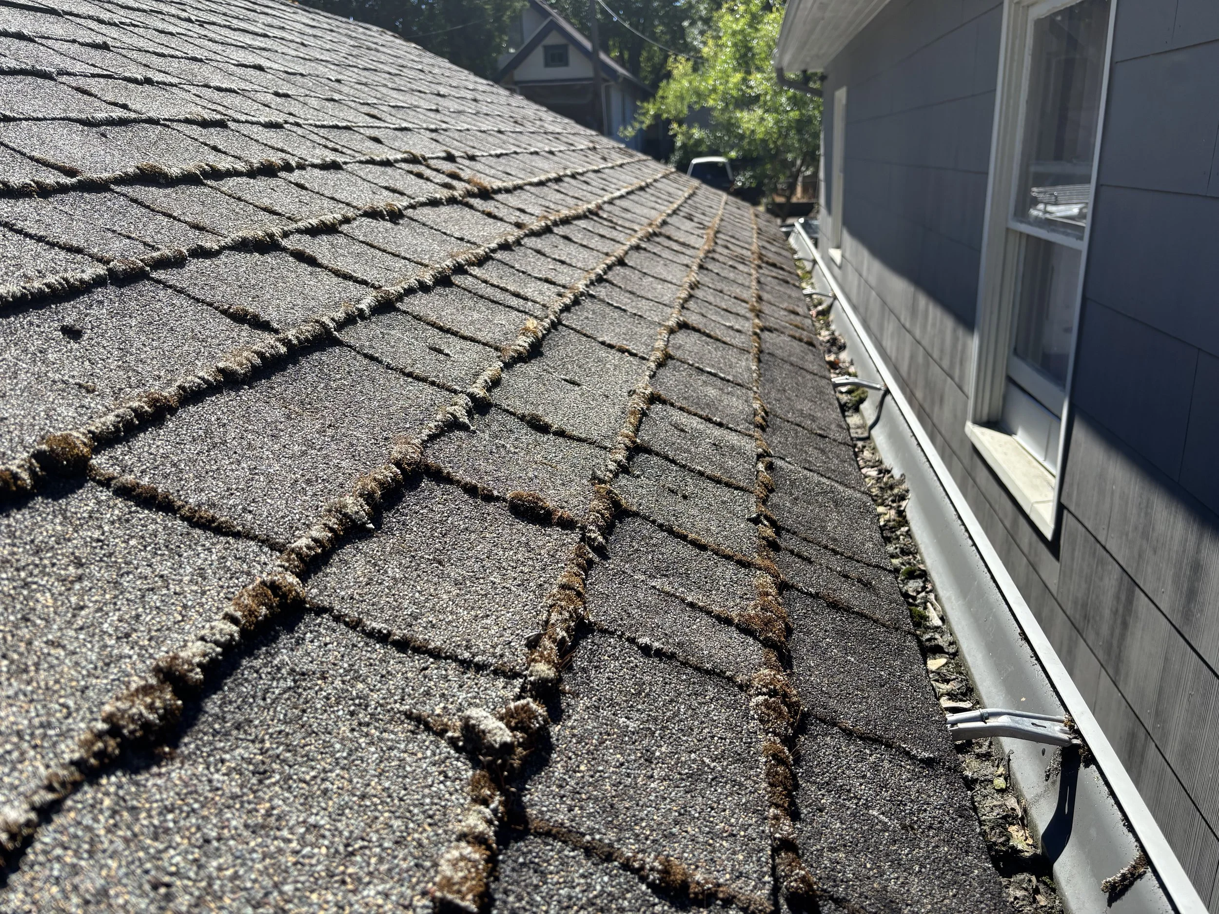 A close-up view of a shingled roof with asphalt shingles, some of which have moss growth. Part of a neighboring house and a tree are visible in the background.