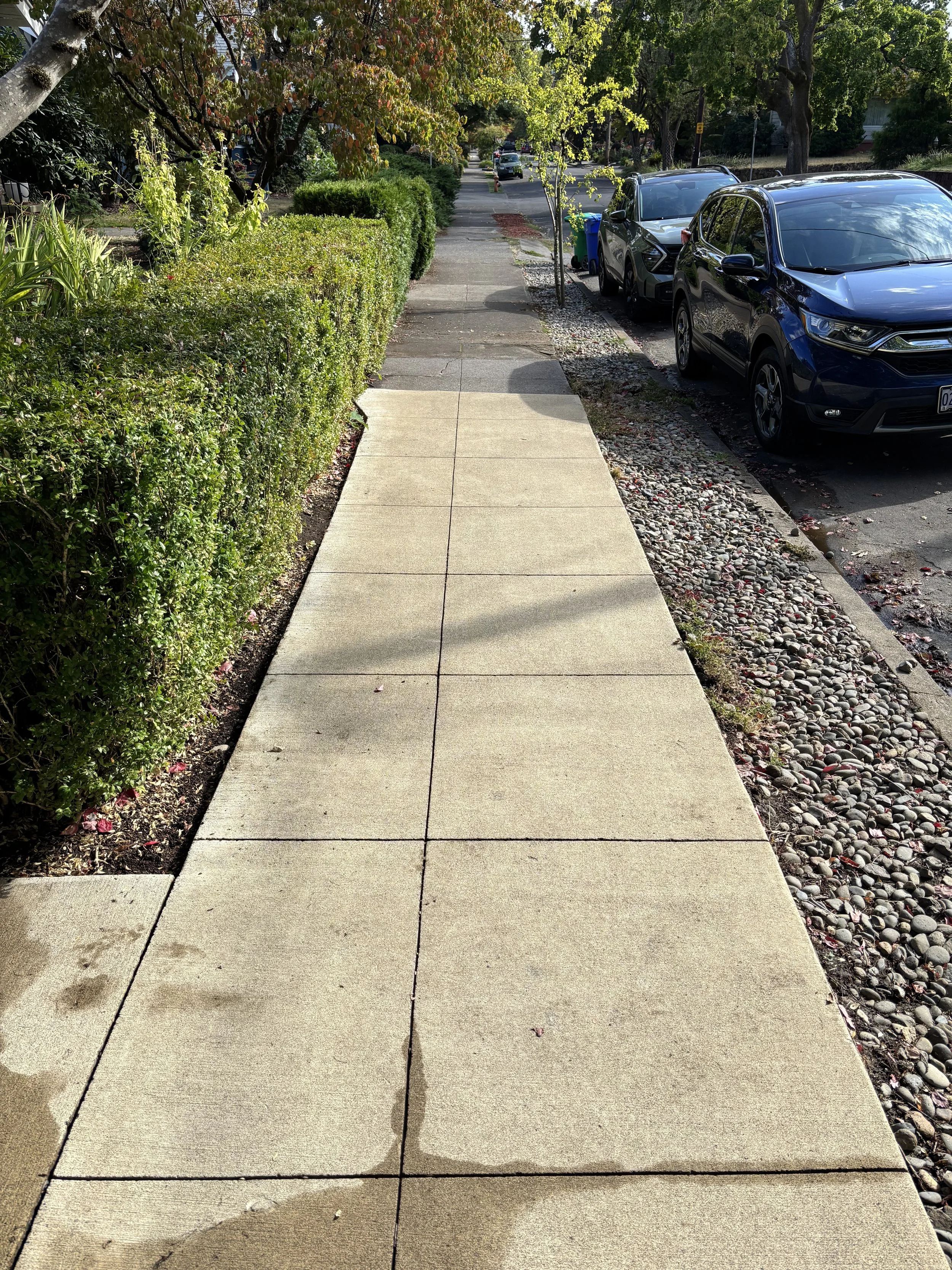 Sidewalk after pressure washing, Portland.