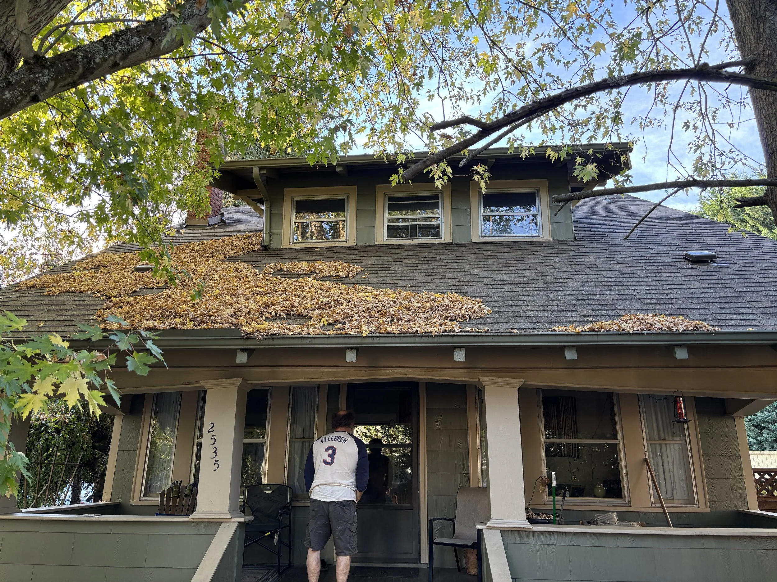Roof before roof cleaning, Portland.