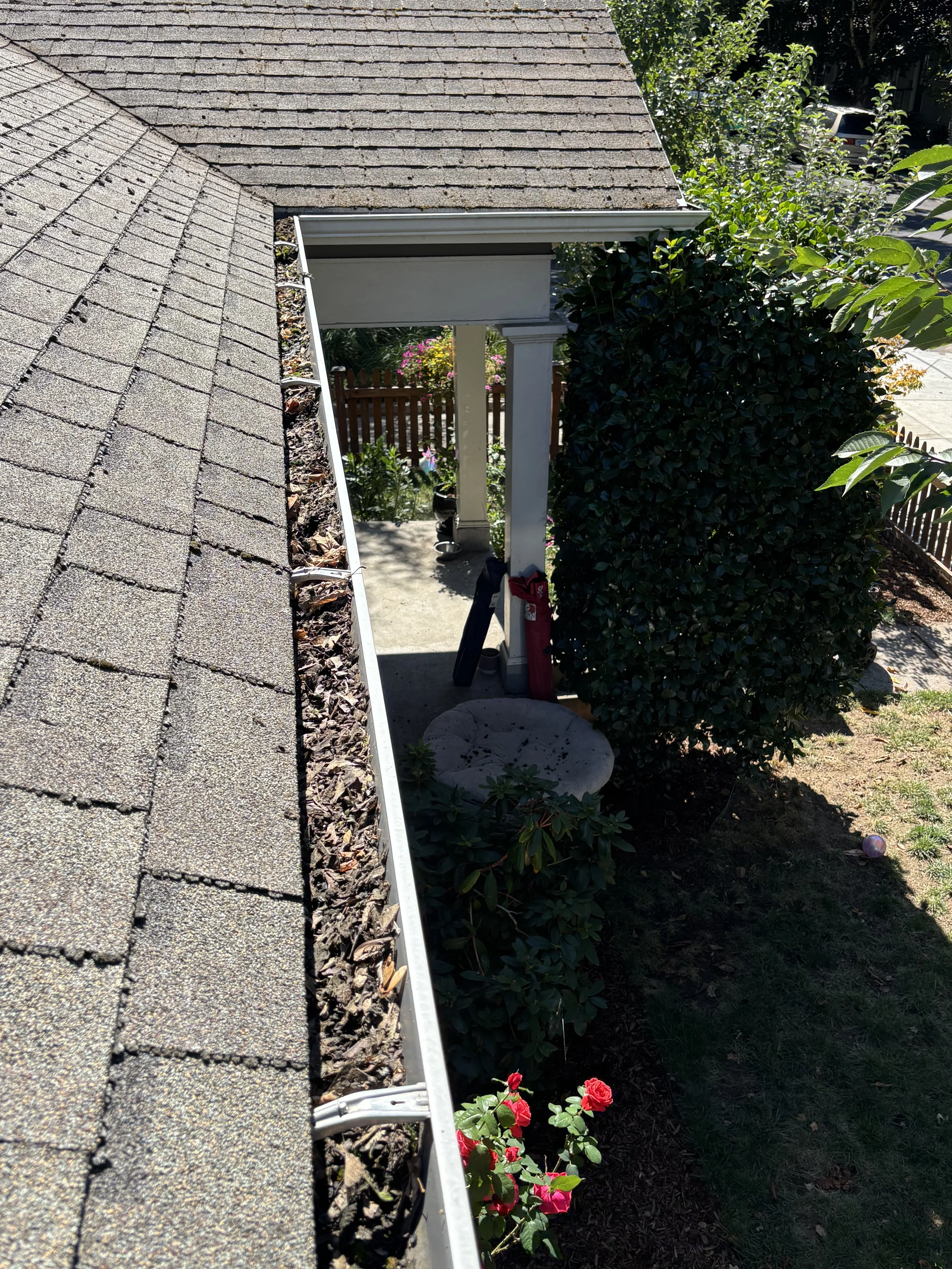 View of a sloped house roof with shingles, a gutter filled with leaves, and a garden area with various plants, flowers, and a white support column.