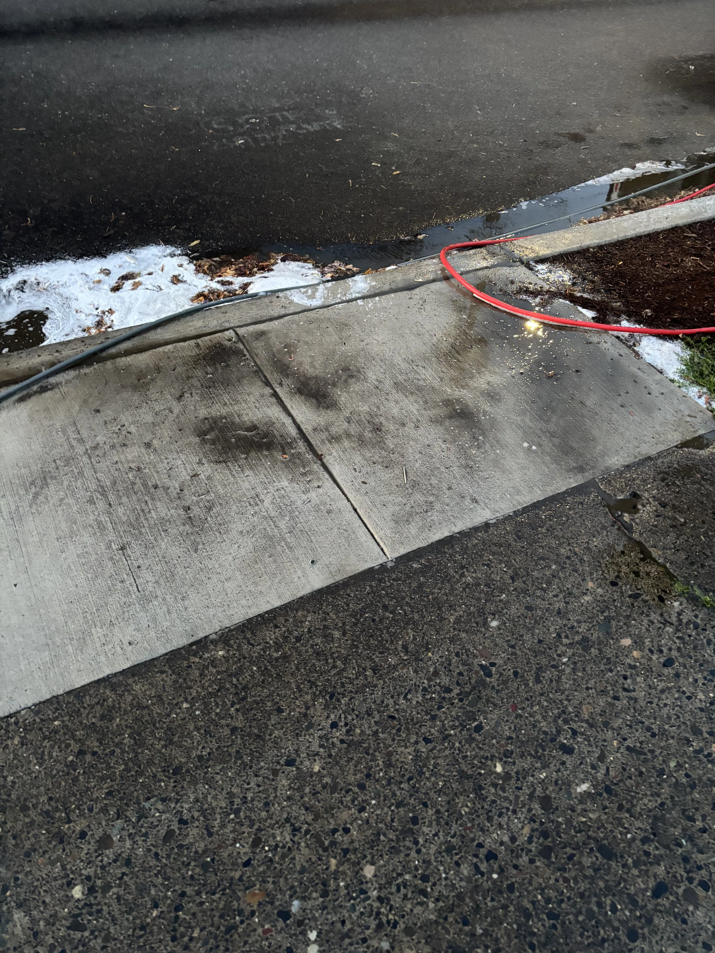 Sidewalk before pressure washing, Portland