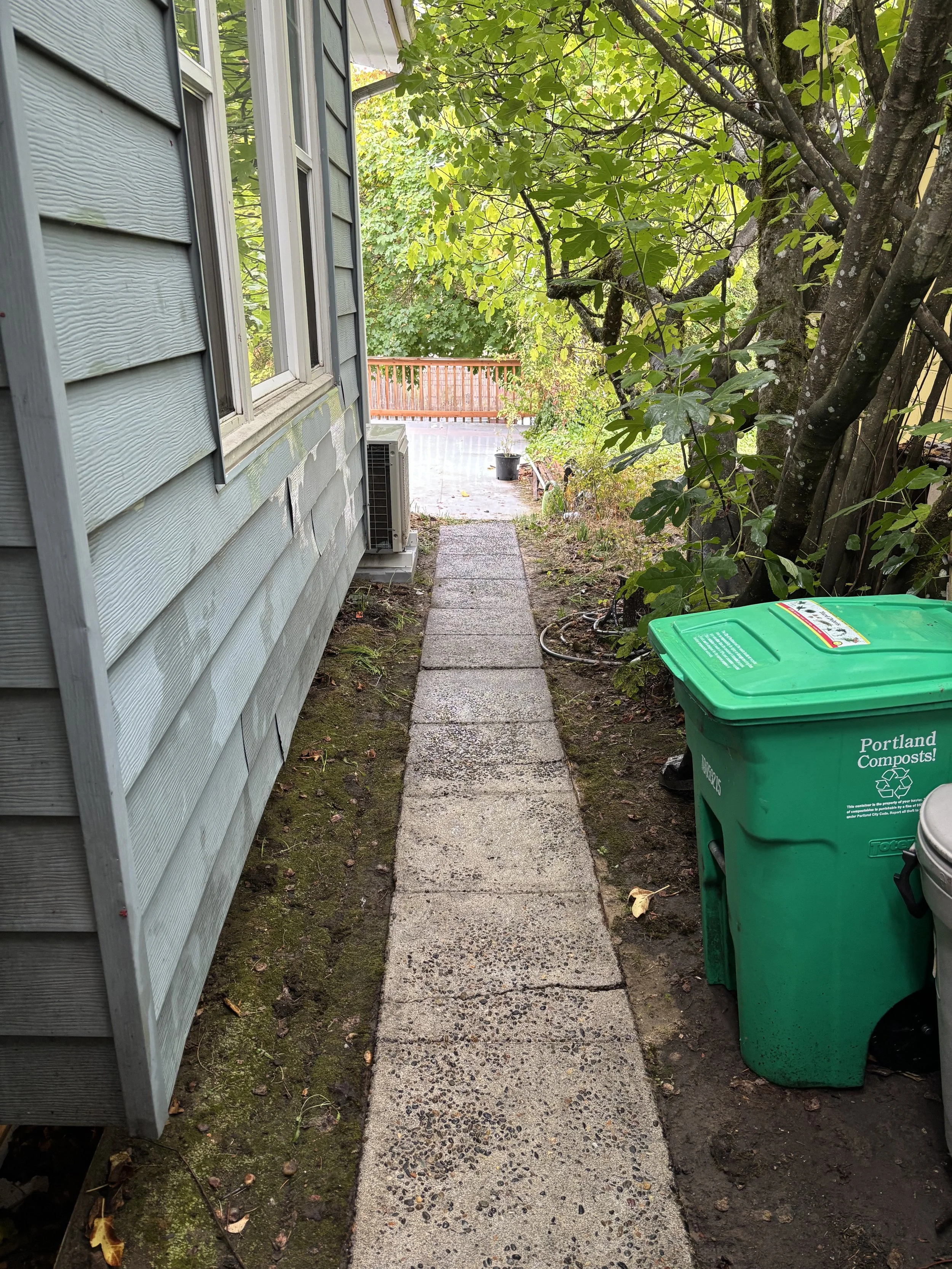 Walkway after pressure washing, Portland.