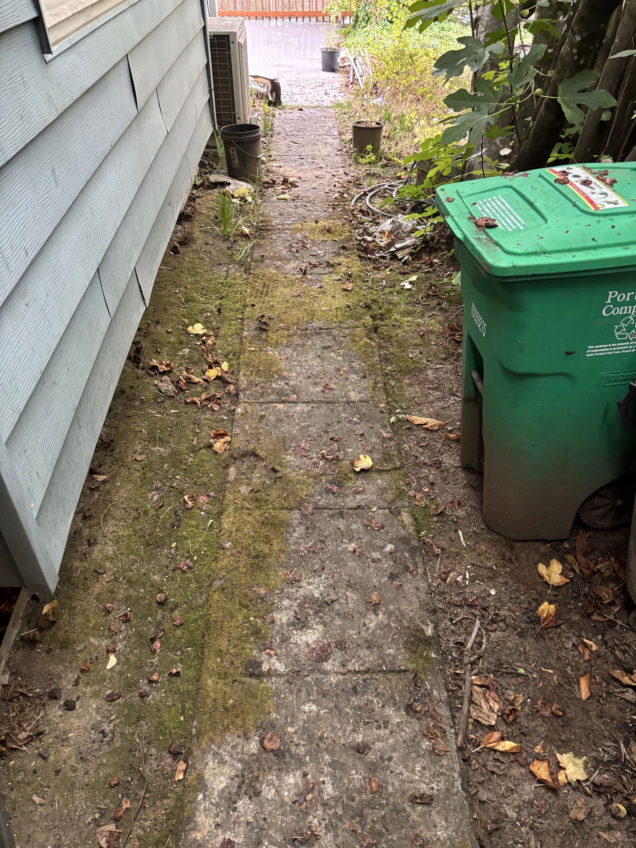 Walkway before pressure washing, Portland.