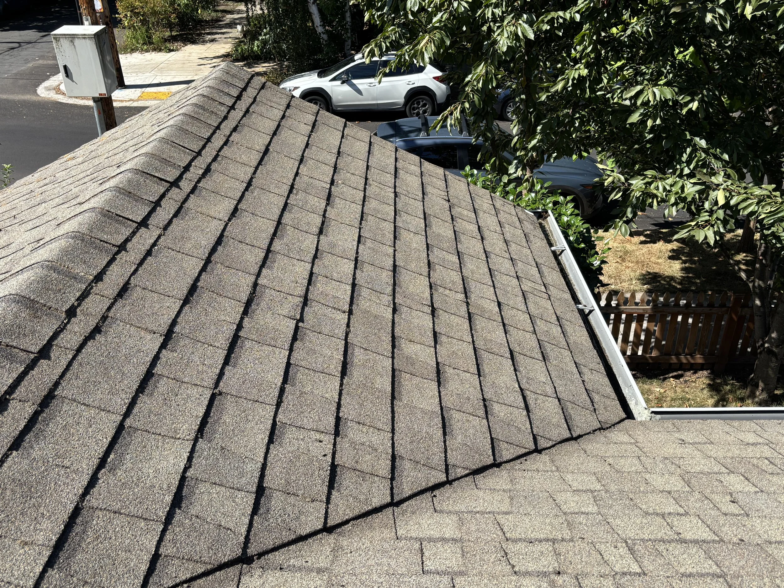 View of a rooftop with brown asphalt shingles, partly obscured by tree branches with green leaves, overlooking a street with parked cars and a sidewalk with a parking meter.
