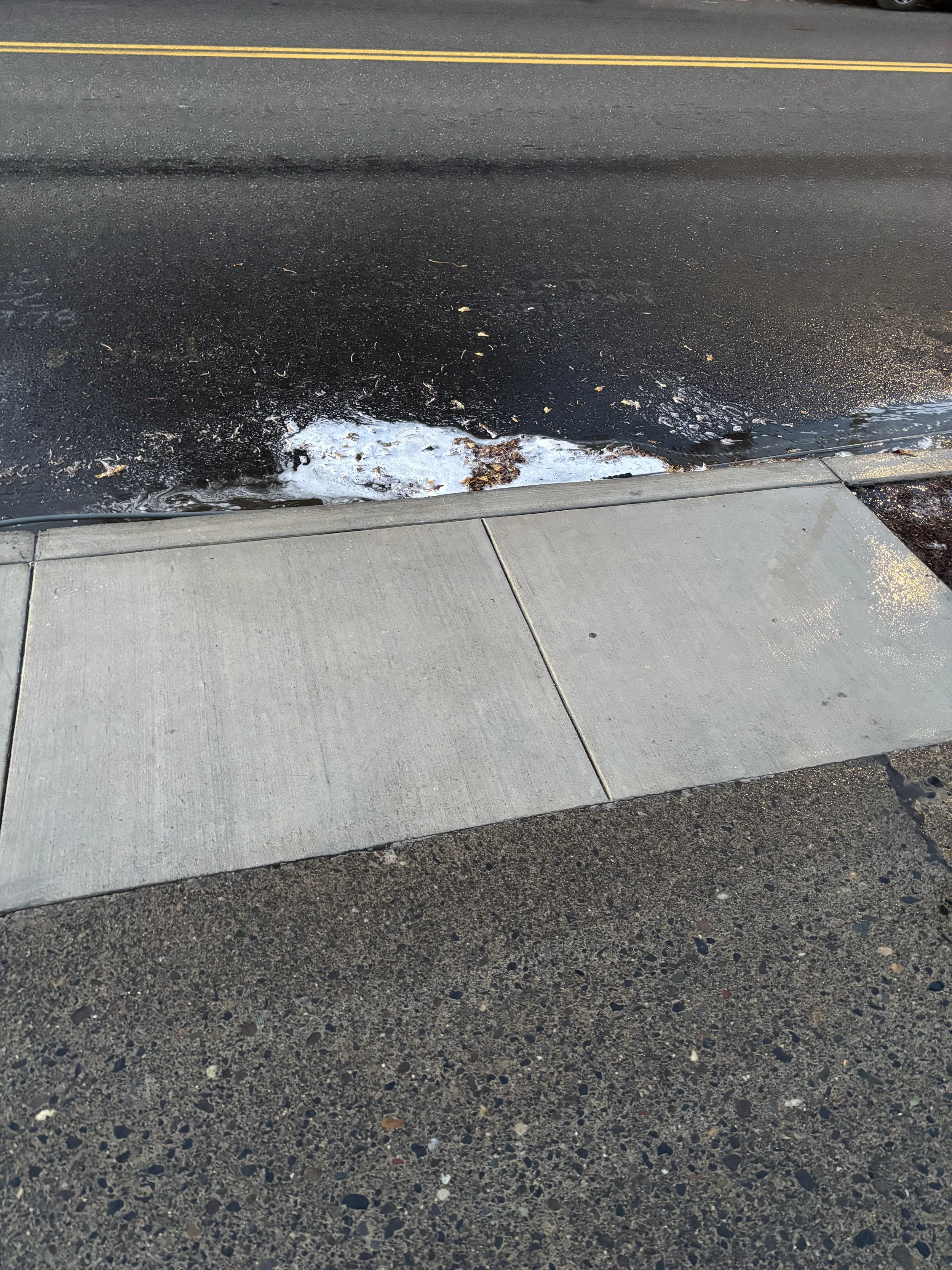 Sidewalk after pressure washing, Portland