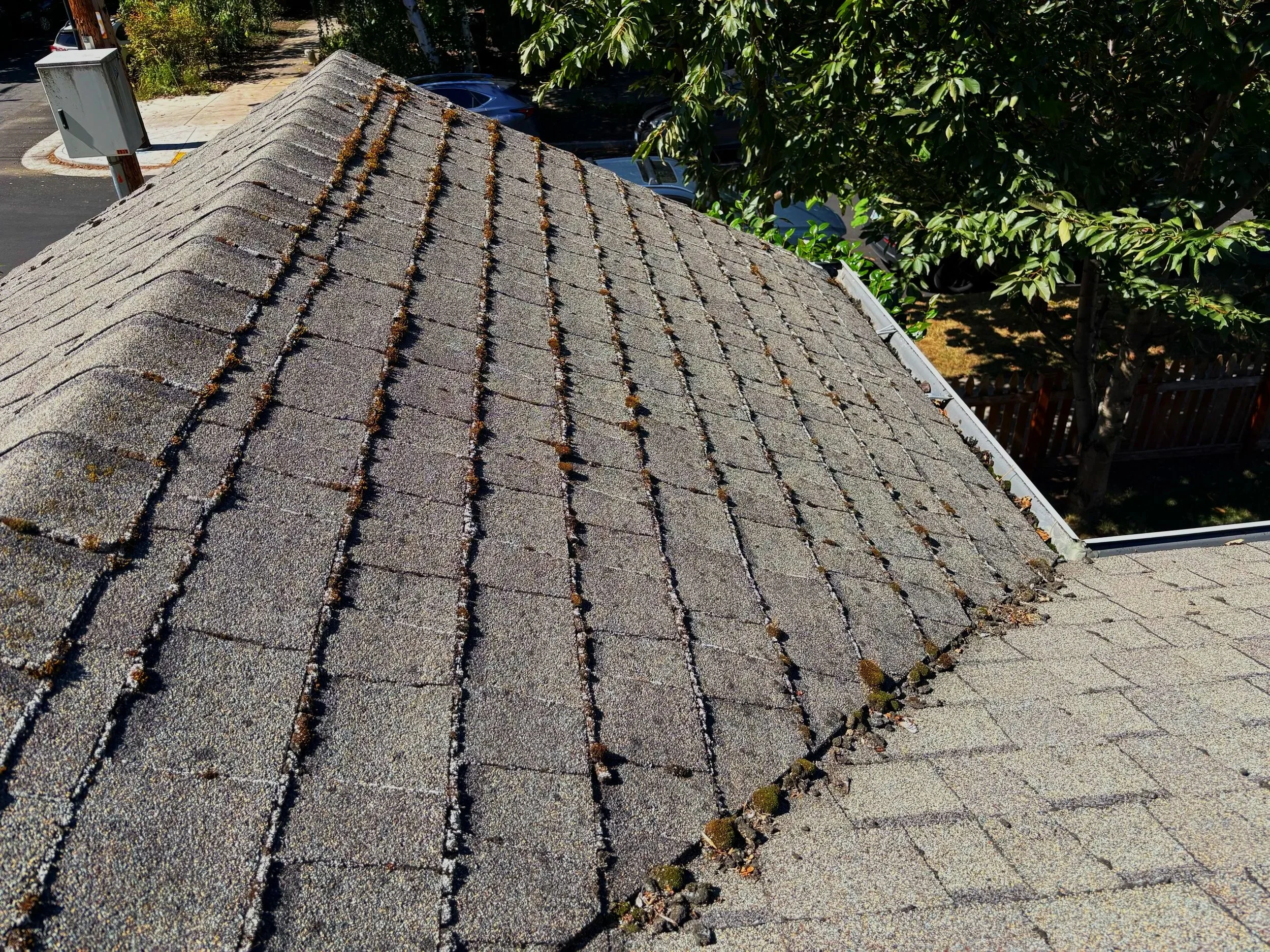 A rooftop with weathered, moss-covered shingles, adjacent to green trees and parked cars in a parking lot.