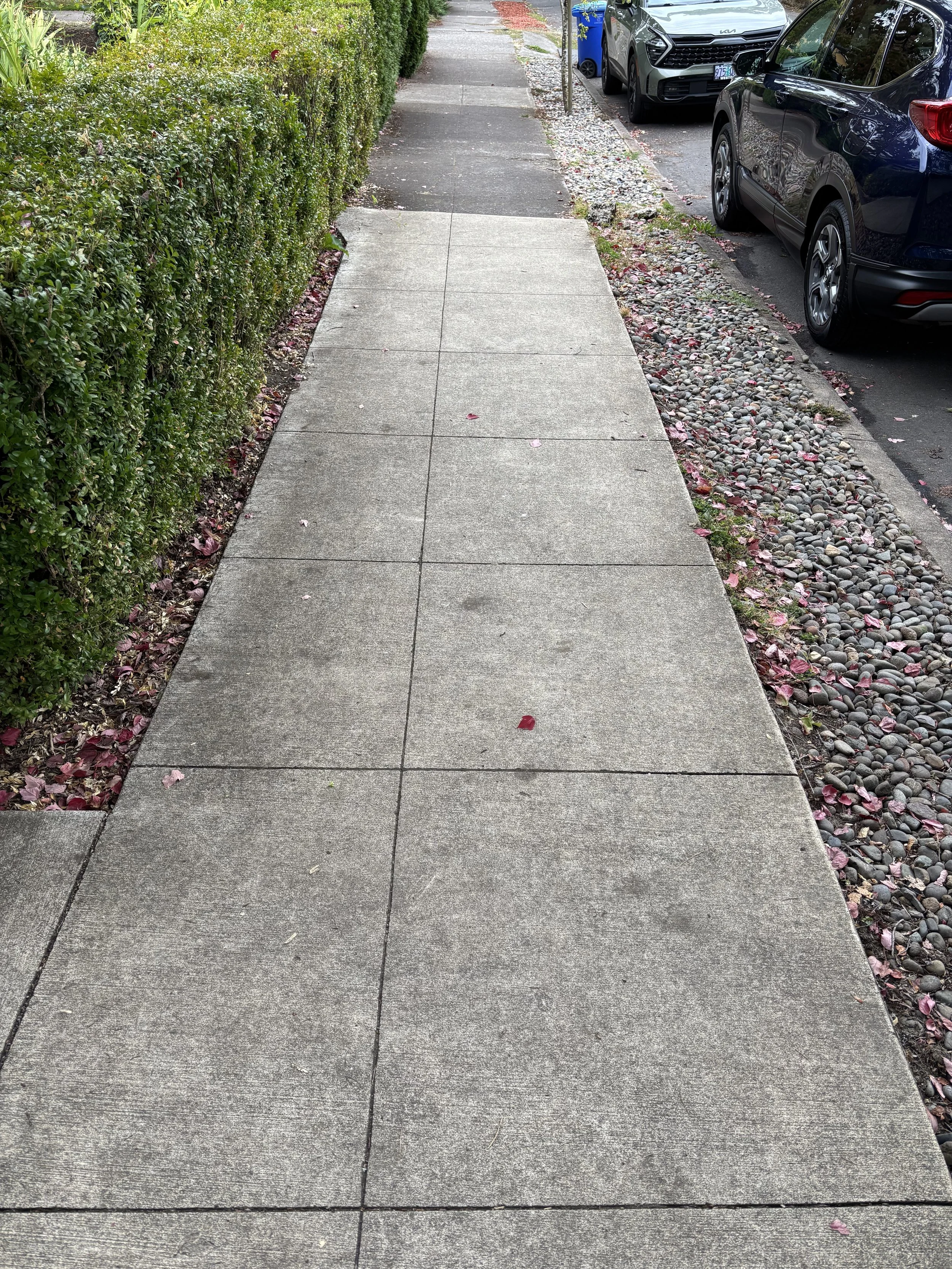 Sidewalk before pressure washing, Portland.