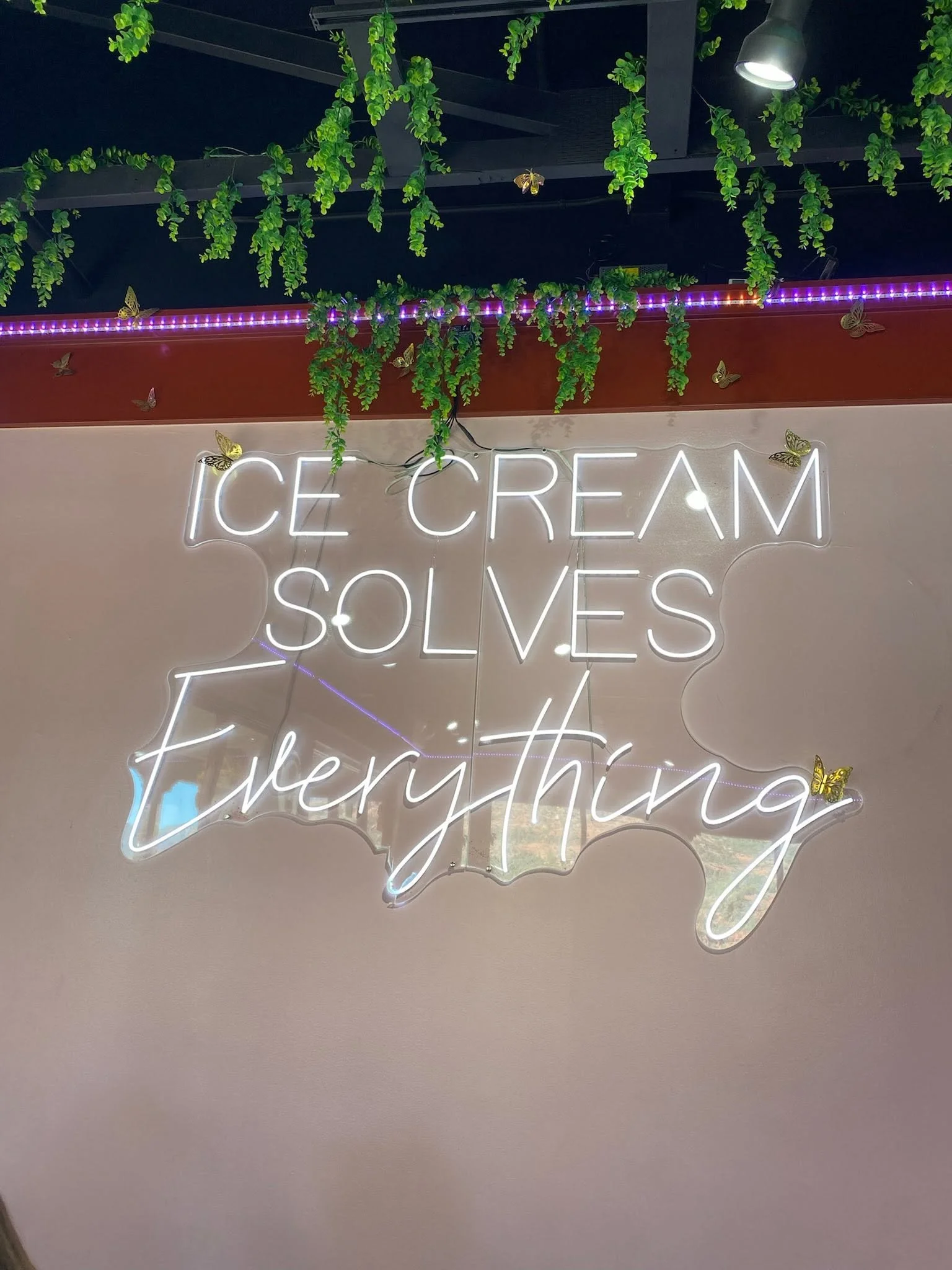 icecreamsolveseverything.jpg