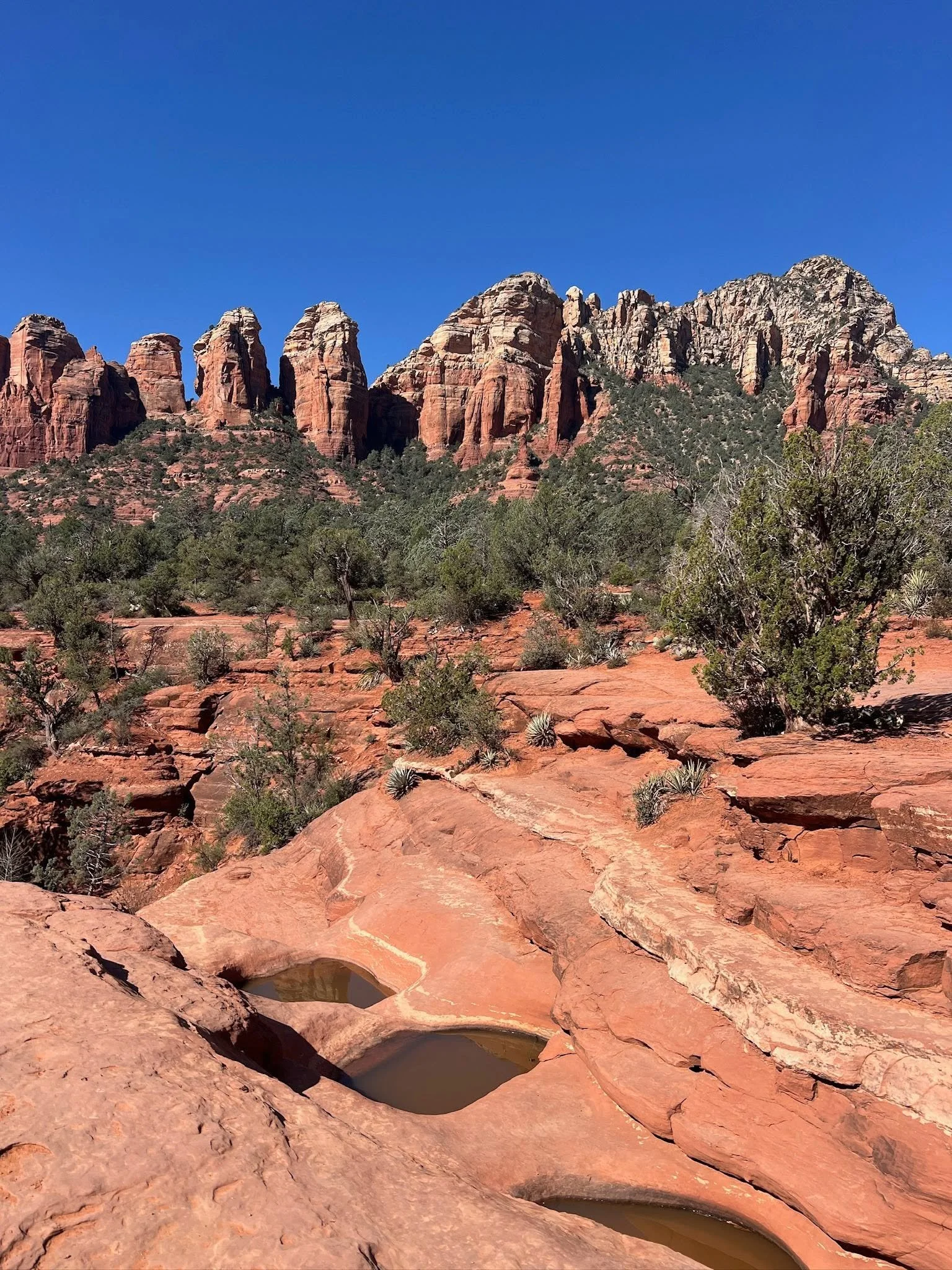 Sedona2025.jpg
