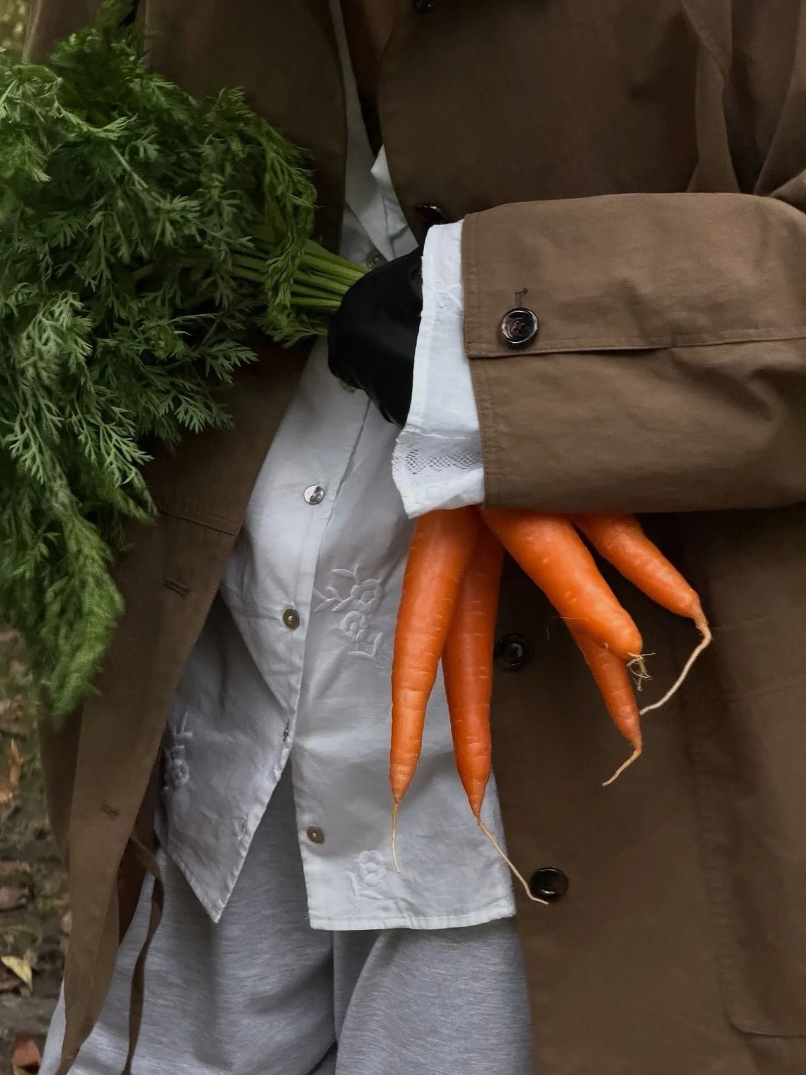 New York Fashion Week is over&hellip; back to our roots. Literally. 🥕🗽 #terrafreshfoods