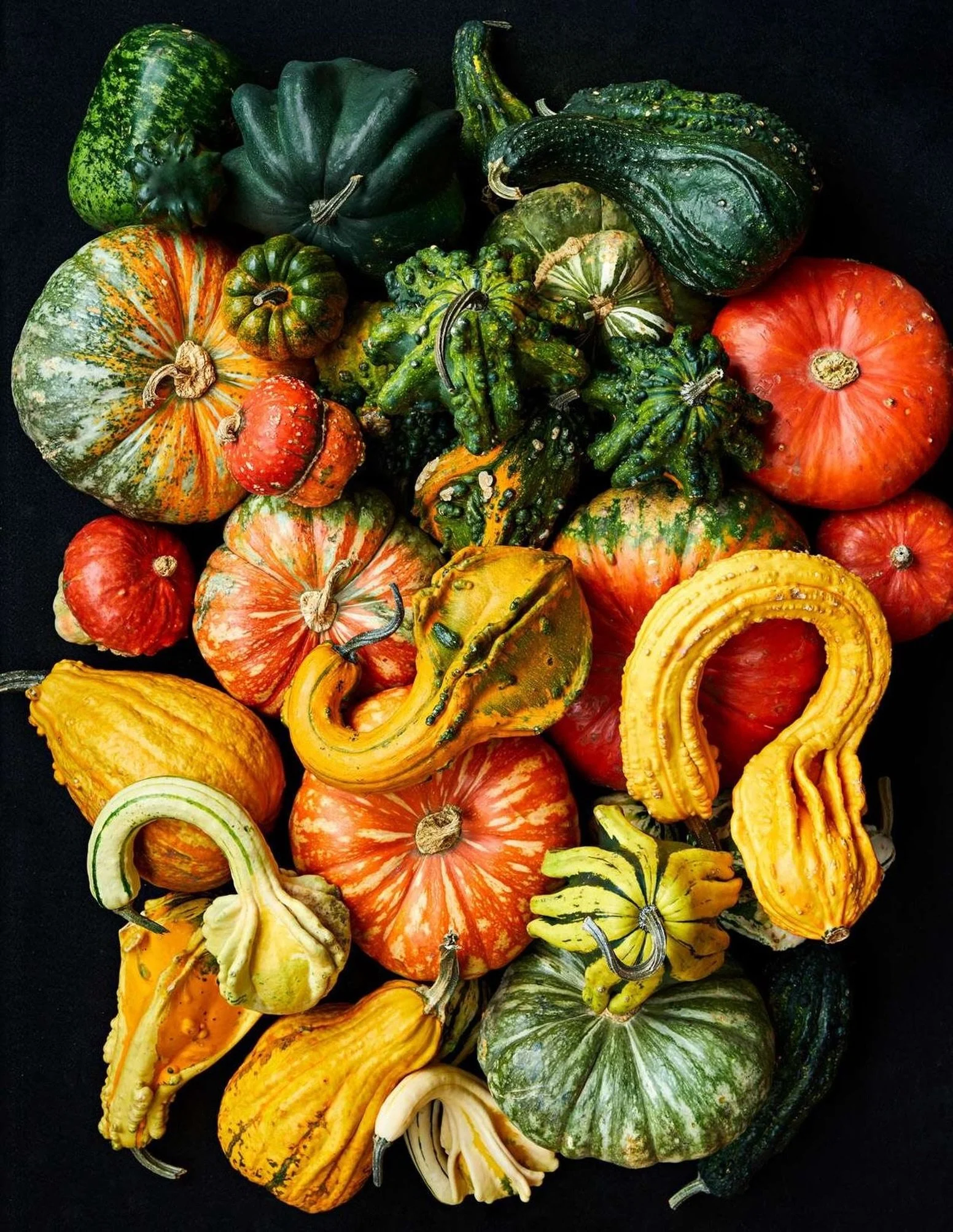 Squash goals: looking gourd-geous this Halloween. 🎃👻✨