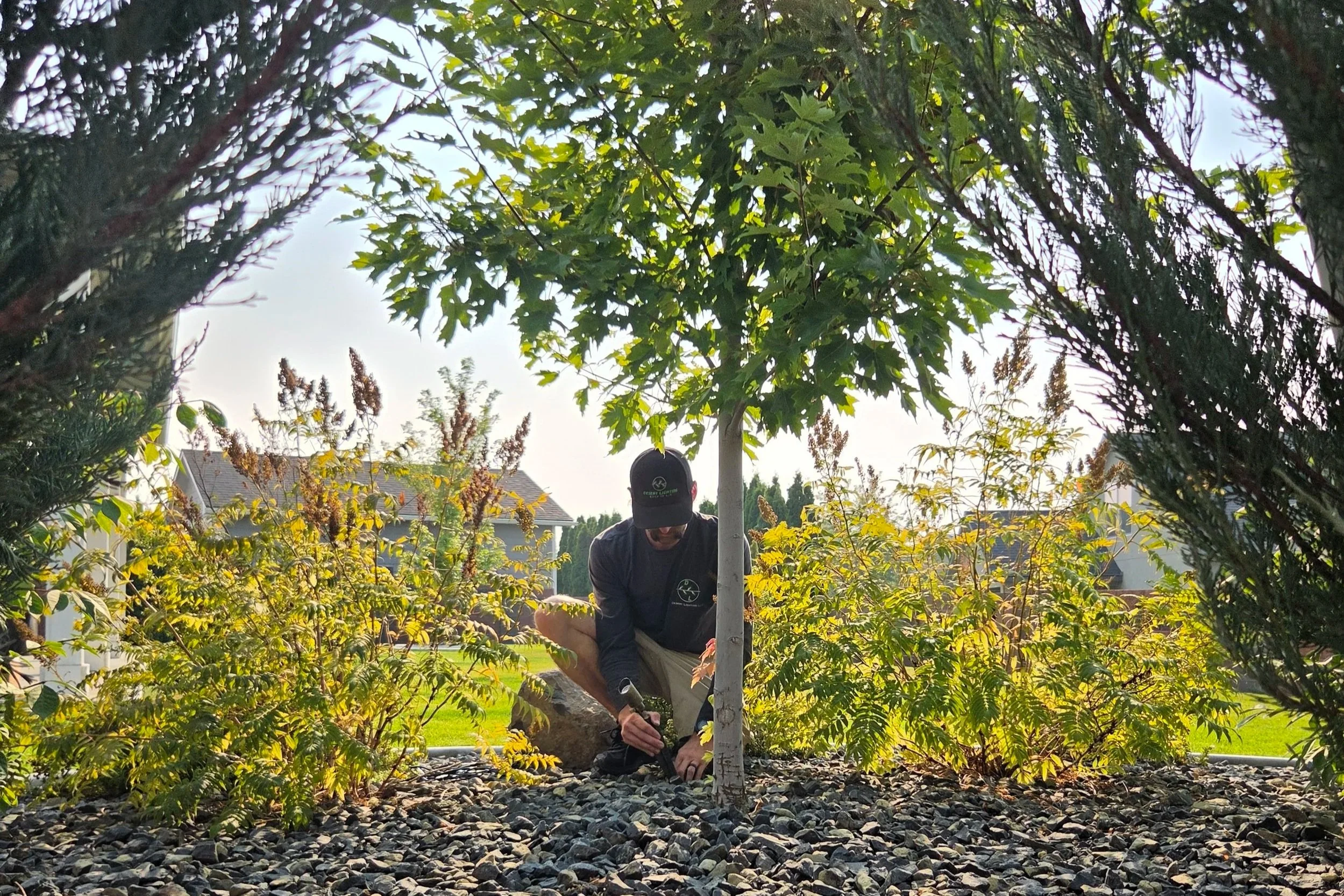 A person planting a tree in a residential yard, surrounded by various shrubs and trees, with houses visible in the background, under a clear sky.