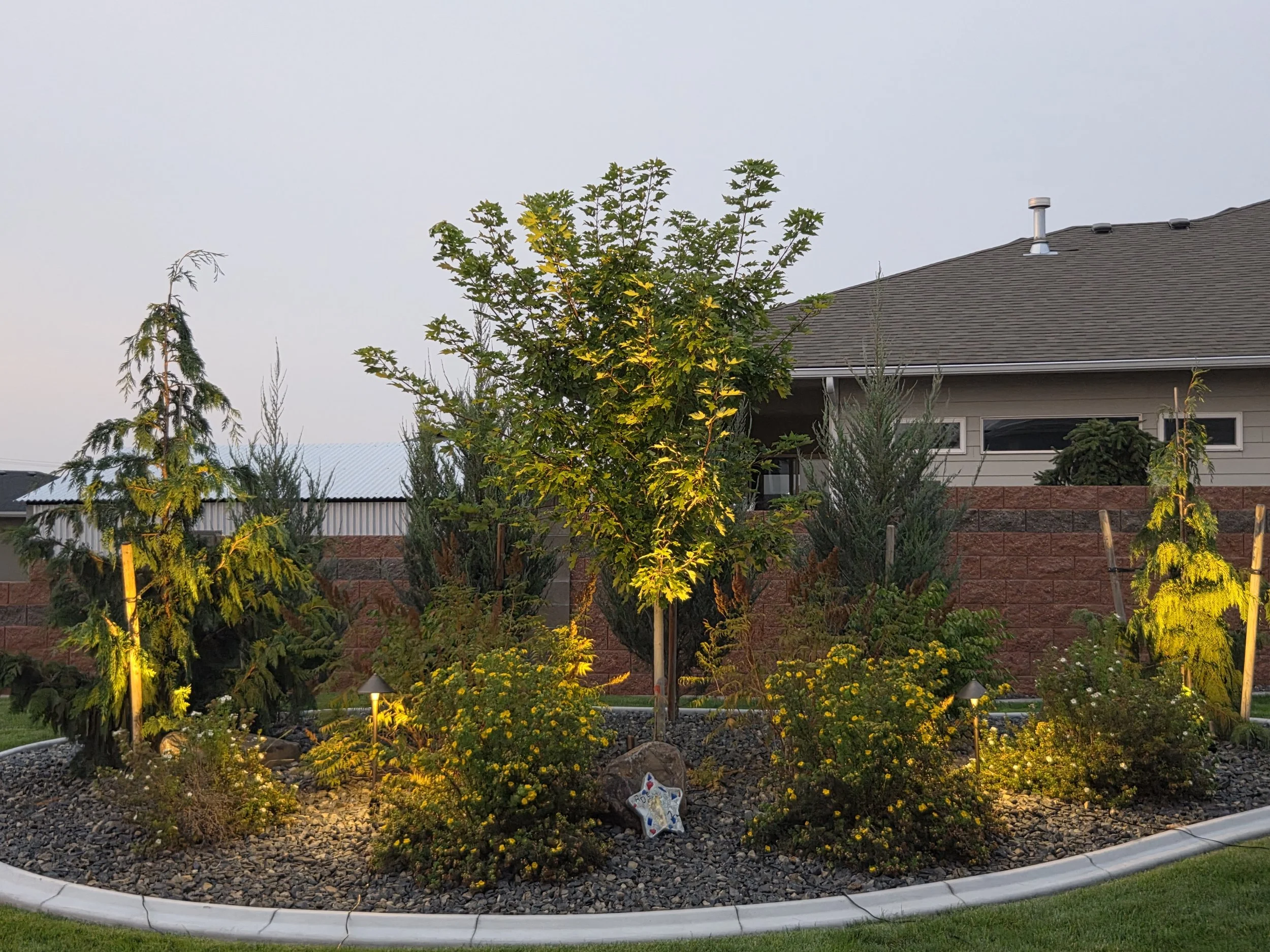 Nighttime view of a residential garden with illuminated trees, small flowering plants, and decorative stones, bordered by a concrete curb, with a house and roof in the background.