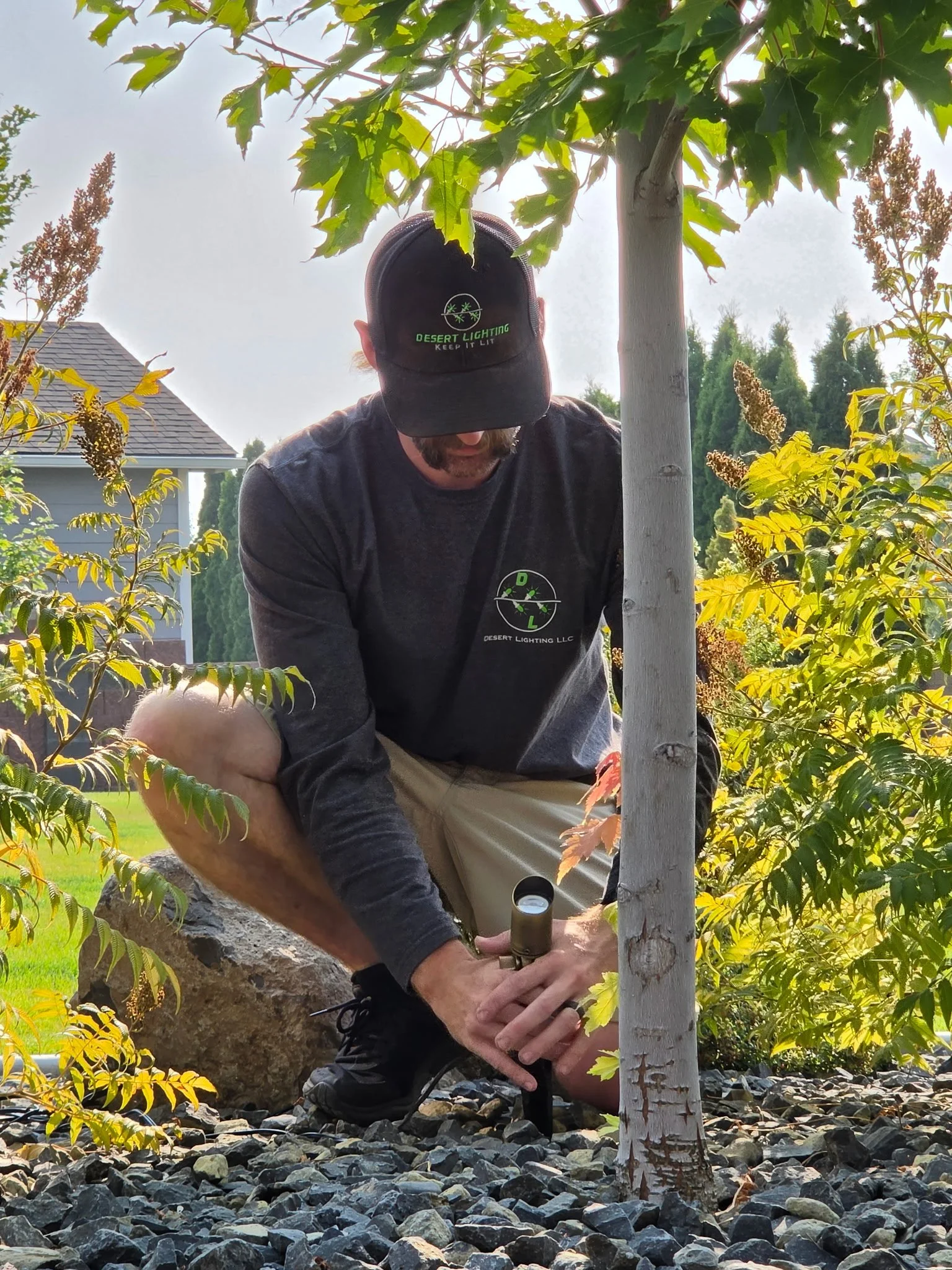 A person wearing a black cap with green text and logo, black long sleeve shirt, and khaki shorts is crouching down near a tree with a white trunk, planting or working on the ground surrounded by small gray rocks and green foliage. The person is holding a shovel or tool, possibly planting or tending to the tree.