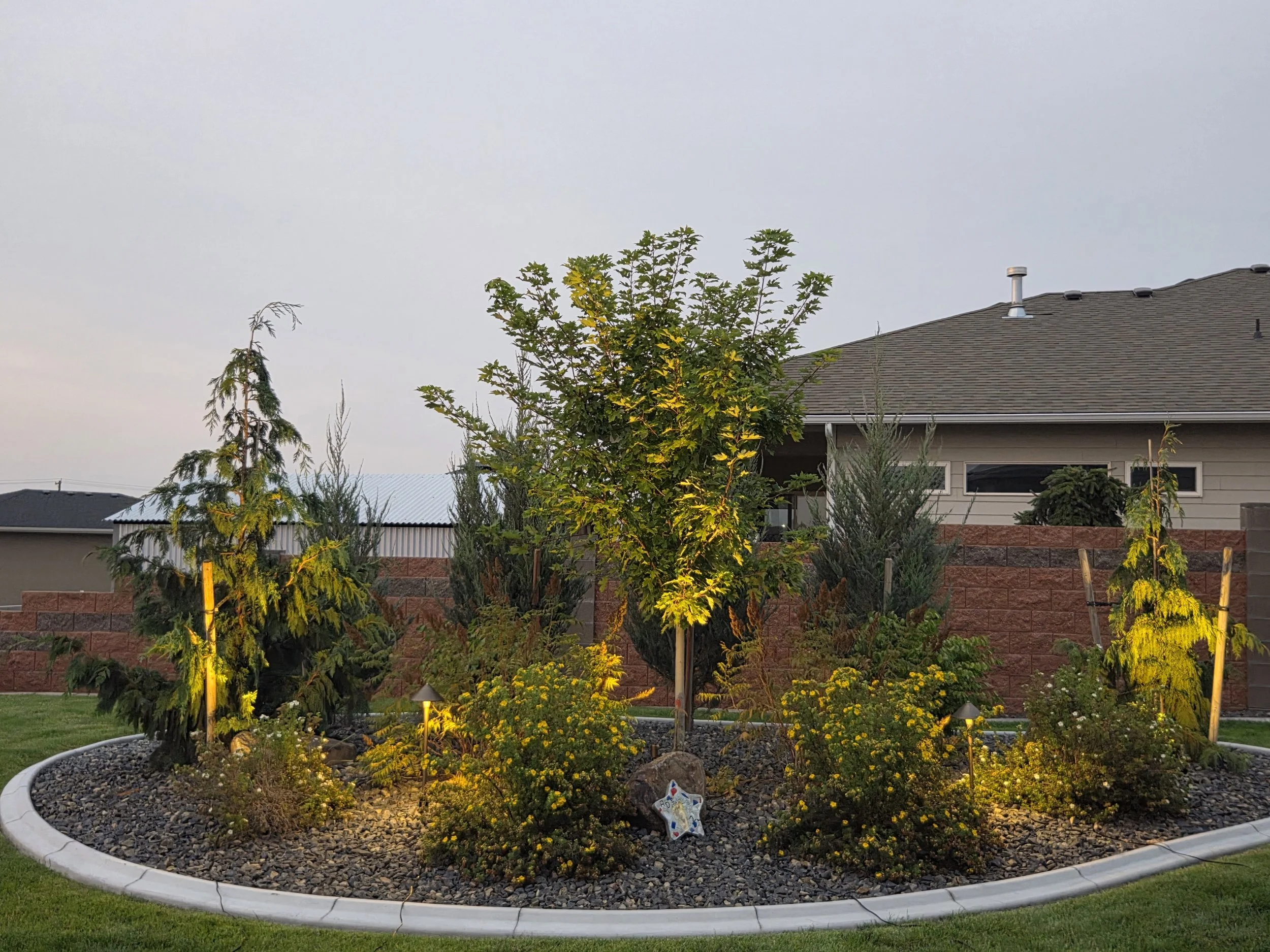 A garden with trees and yellow flowers, illuminated by outdoor lights, in front of a house with a gray roof and tan siding.