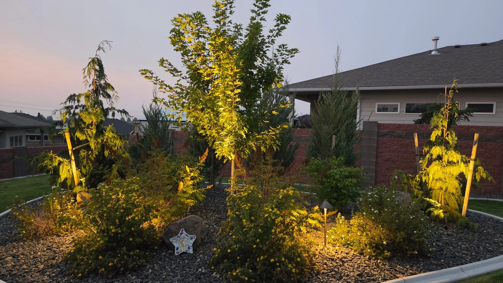 A garden with various trees and plants illuminated by landscape lighting, with a house in the background.