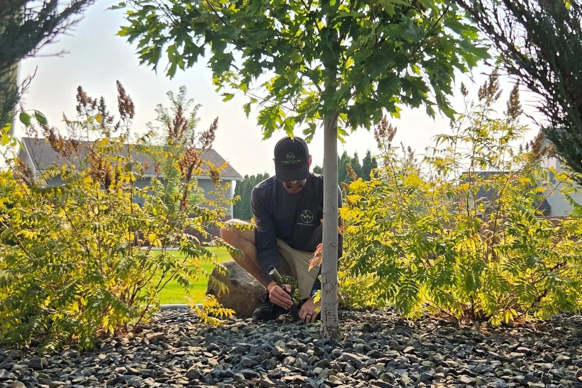 A man is kneeling on gravel outside, trimming a young tree with pruning tools. He wears a black cap, a black jacket, and glasses, surrounded by bushes and a house in the background, with sunlight overhead.