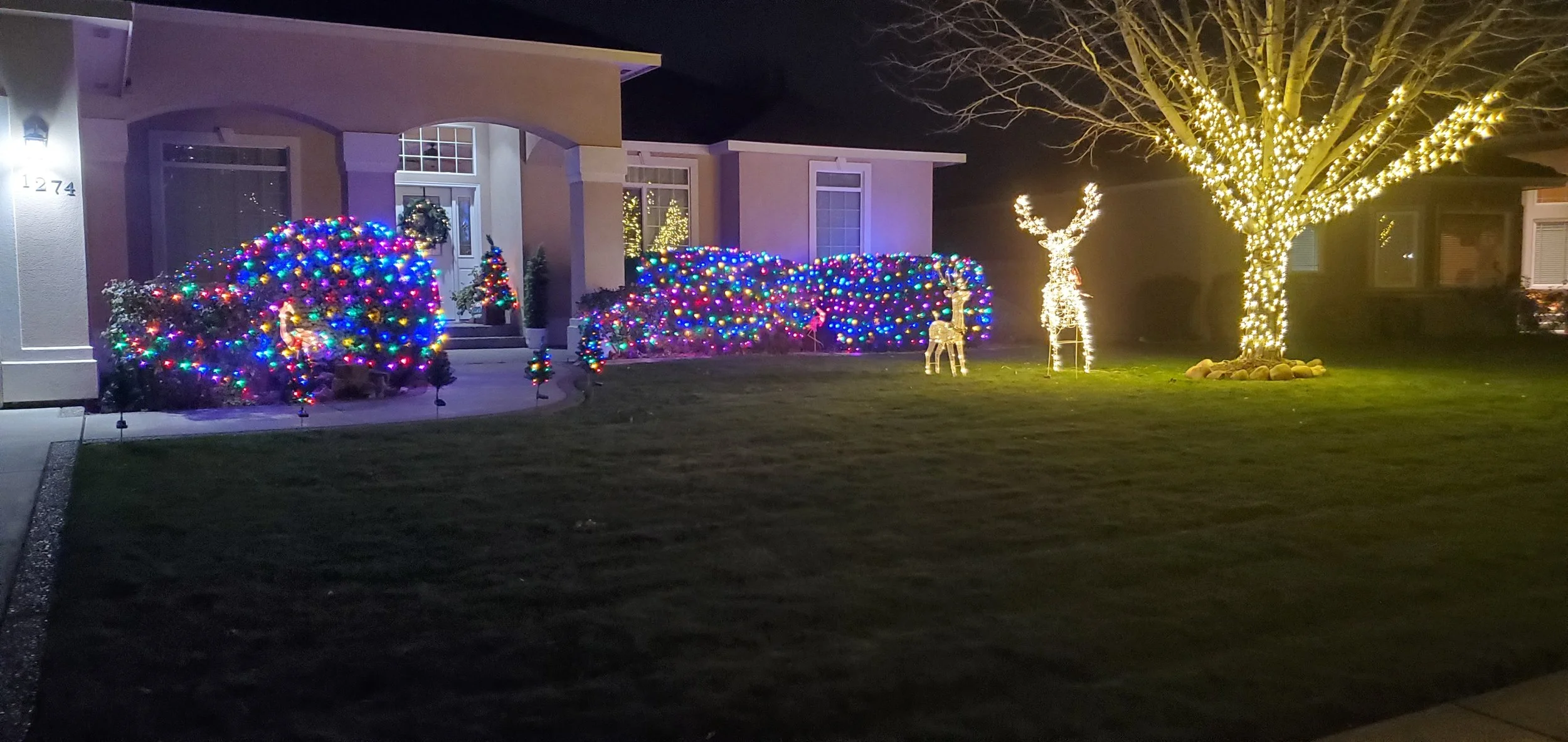 A house decorated with colorful holiday lights, including a large bush and trees wrapped in multicolored and white lights, with lighted reindeer decorations on the lawn at night.