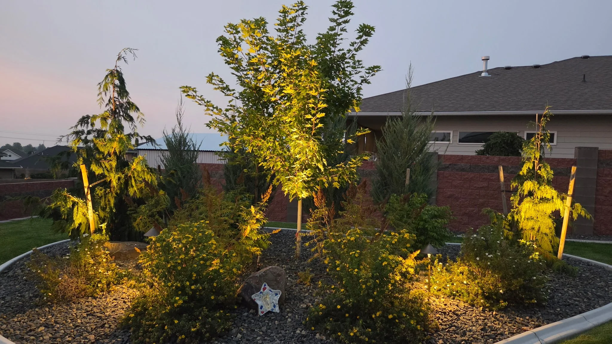A backyard garden at dusk illuminated by outdoor lighting, featuring a variety of trees and flowering plants with a house and fence in the background.