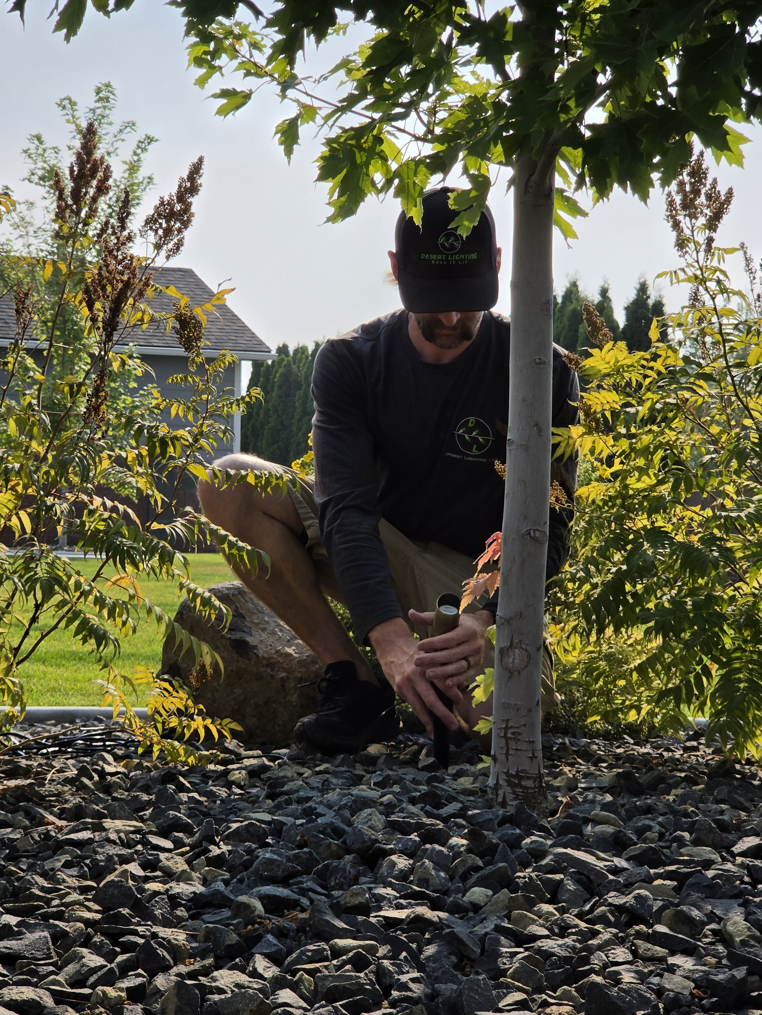 A man crouching among rocks and plants, planting or tending to a young tree. He wears a black cap and a black long-sleeve shirt with a logo, and is using a small trowel or similar gardening tool.