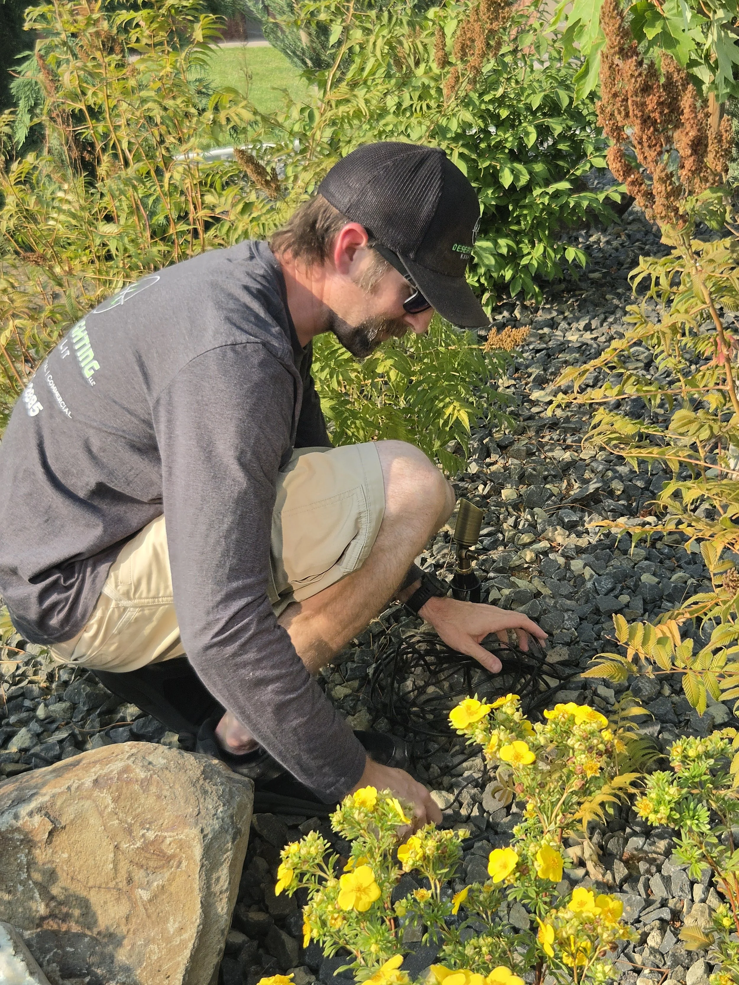 A man with a beard, wearing a black cap, sunglasses, a gray jacket, and beige shorts, crouched down examining plants with yellow flowers and using a black tool in a garden with rocks and green foliage.