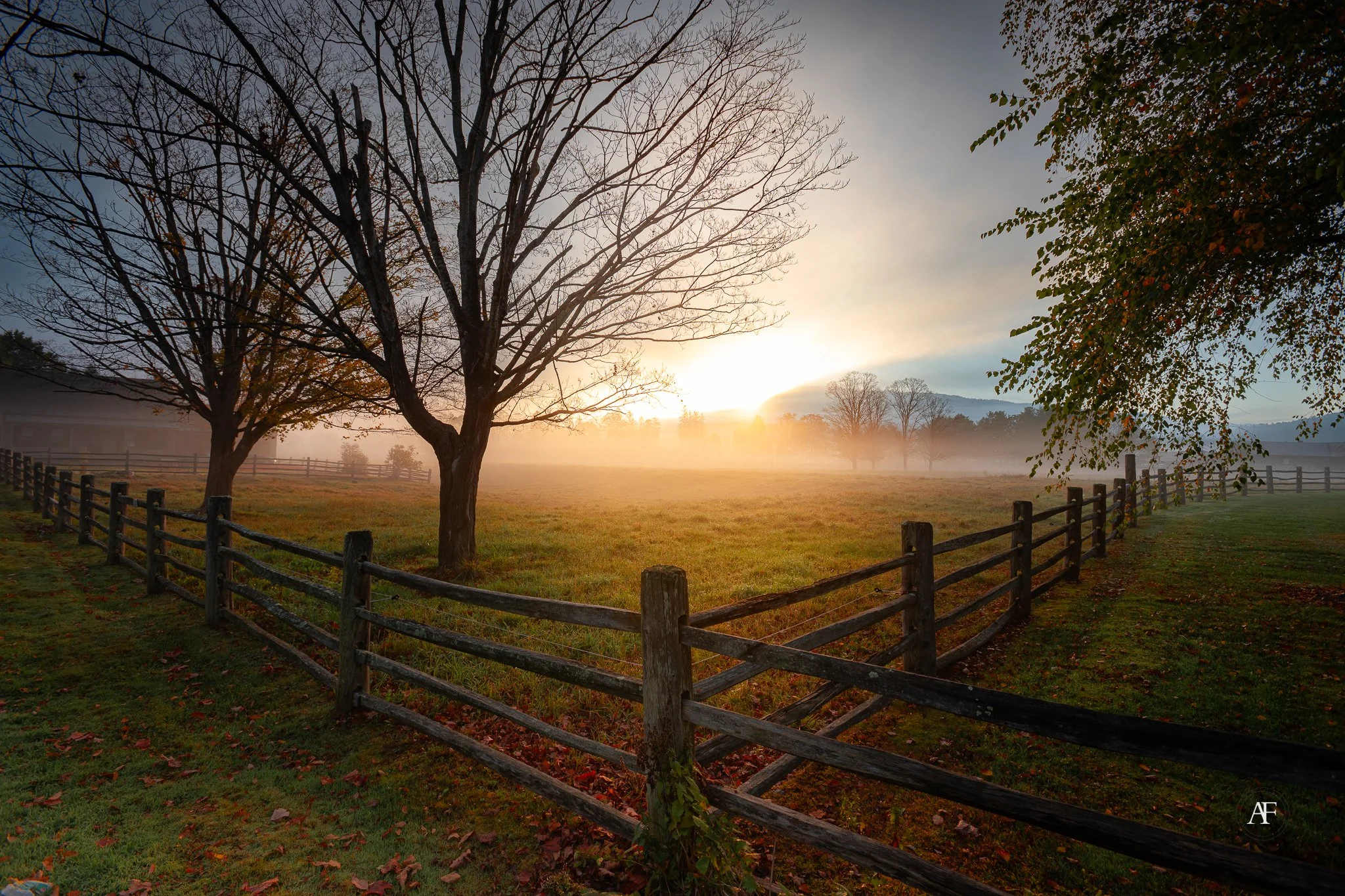 Early morning sunrise over a field with leafless trees, a wooden fence, and a layer of fog with distant hills in the background.