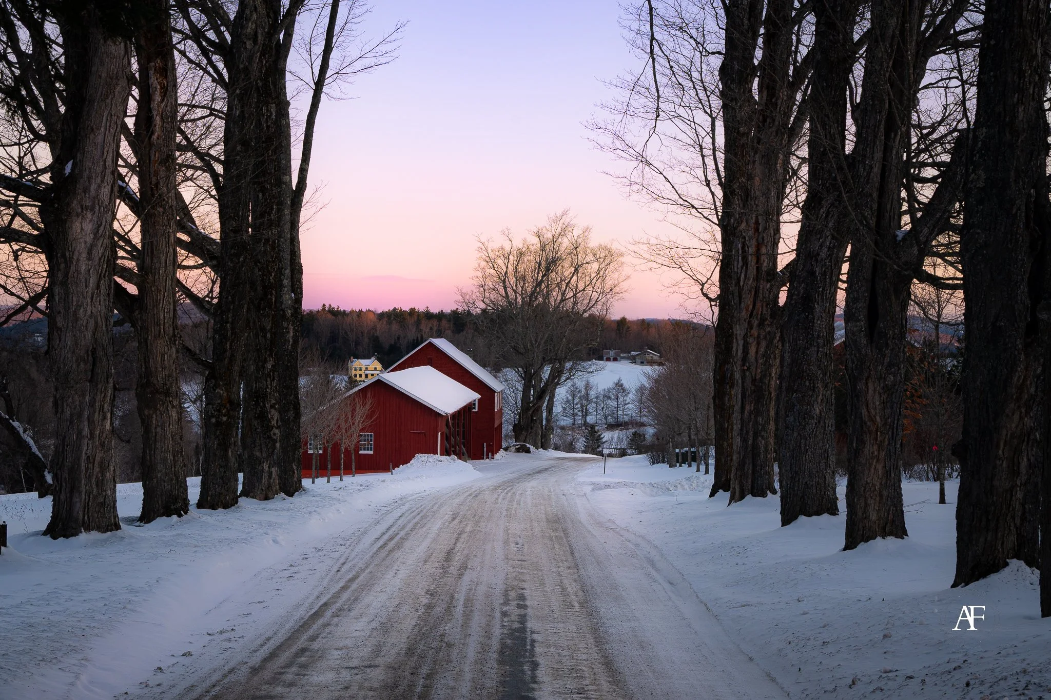 Snow-covered dirt road surrounded by large, leafless trees on either side, leading to red barn and houses in a winter landscape at dusk.